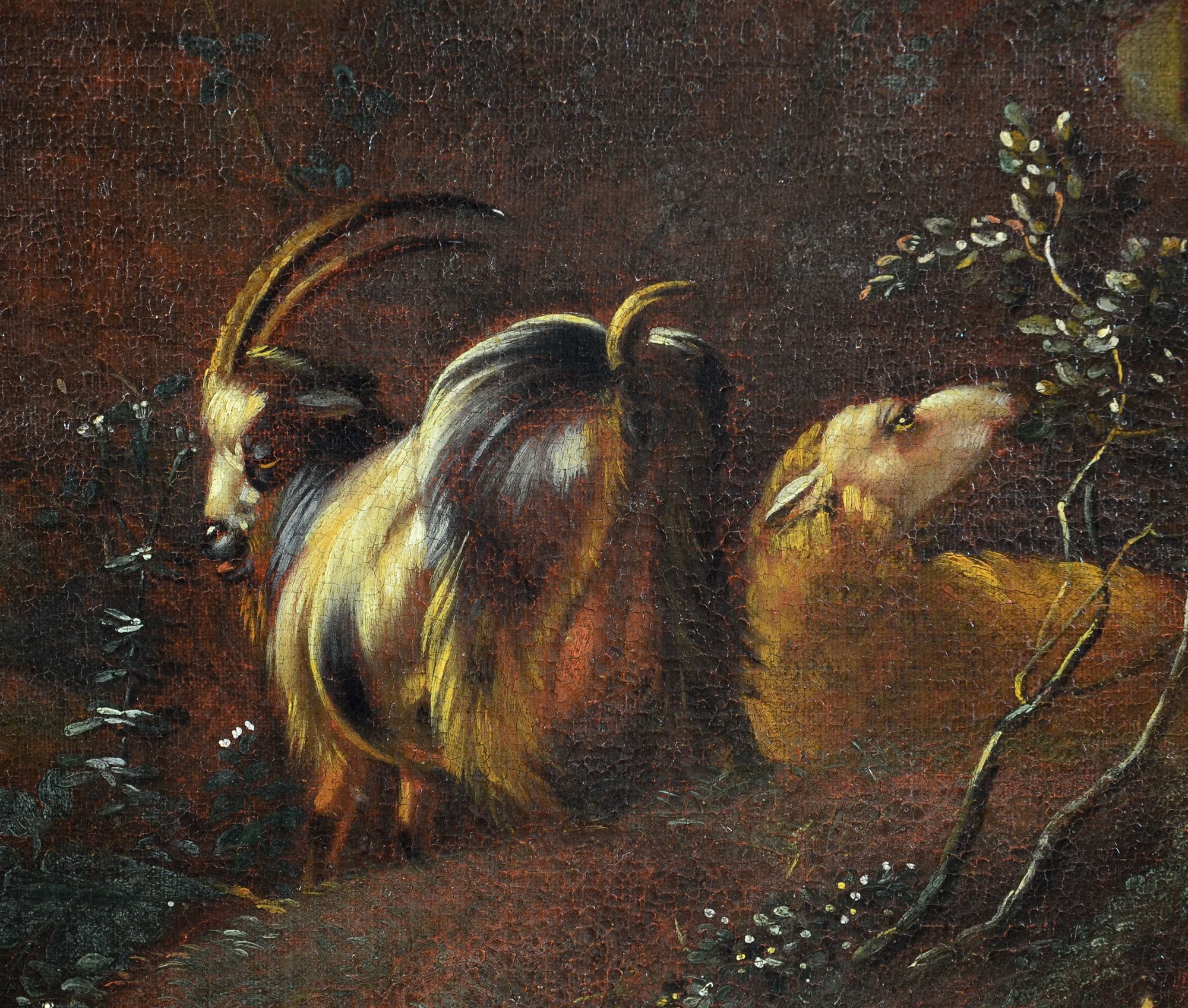 Johann Heinrich ROOS (Otterberg 1631 - Francoforte 1685)