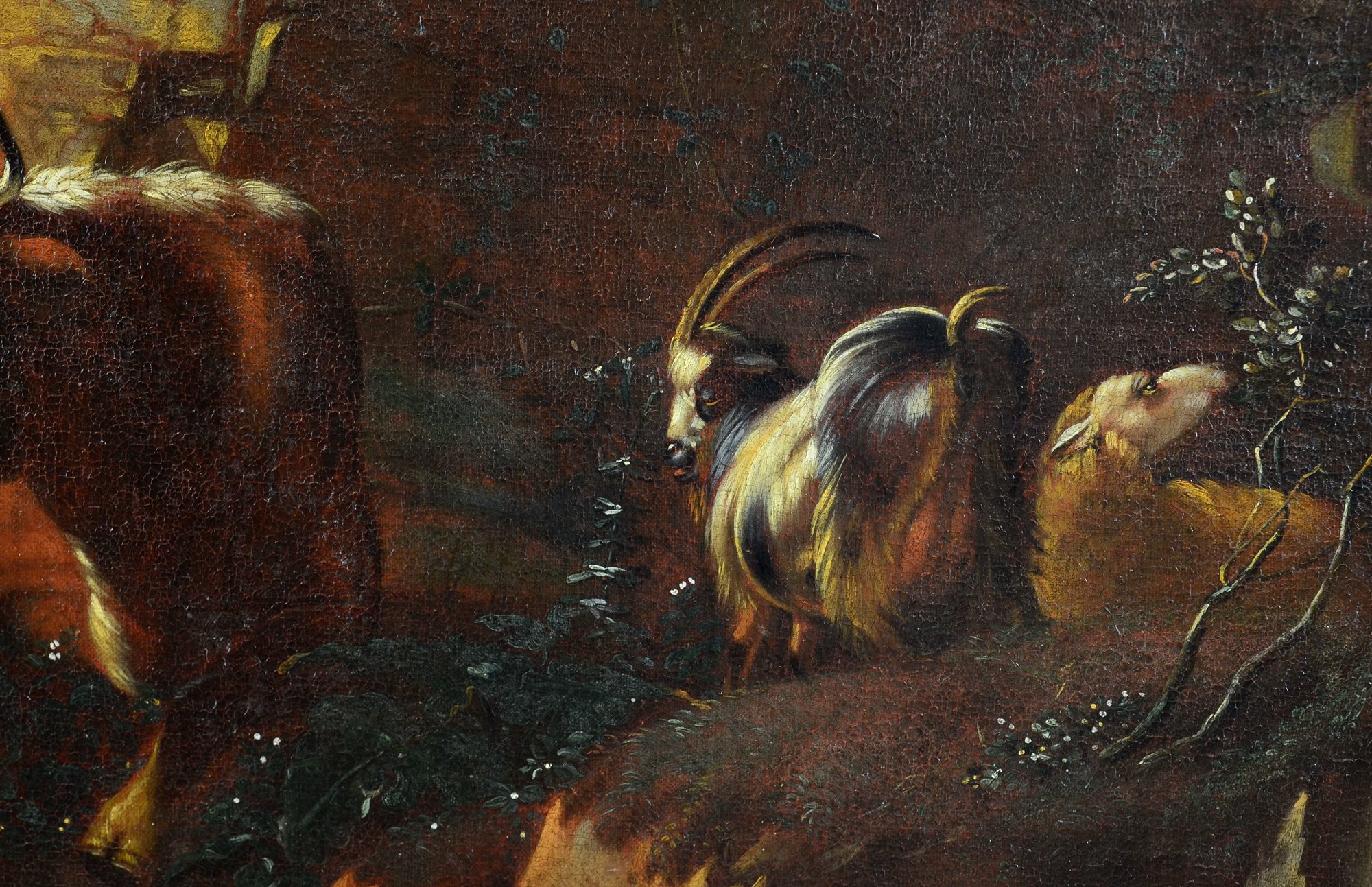 Johann Heinrich ROOS (Otterberg 1631 - Francoforte 1685)