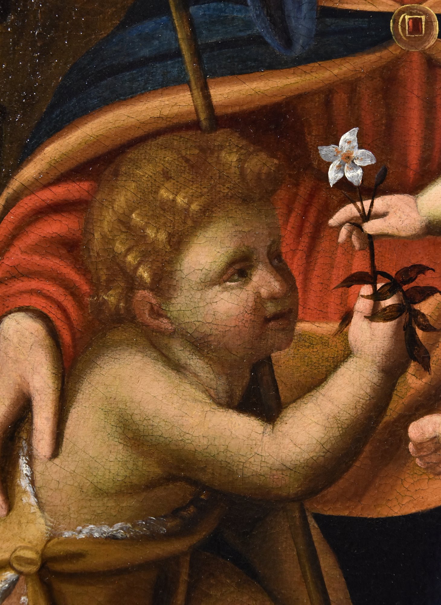 Pittore lombardo del XVI secolo