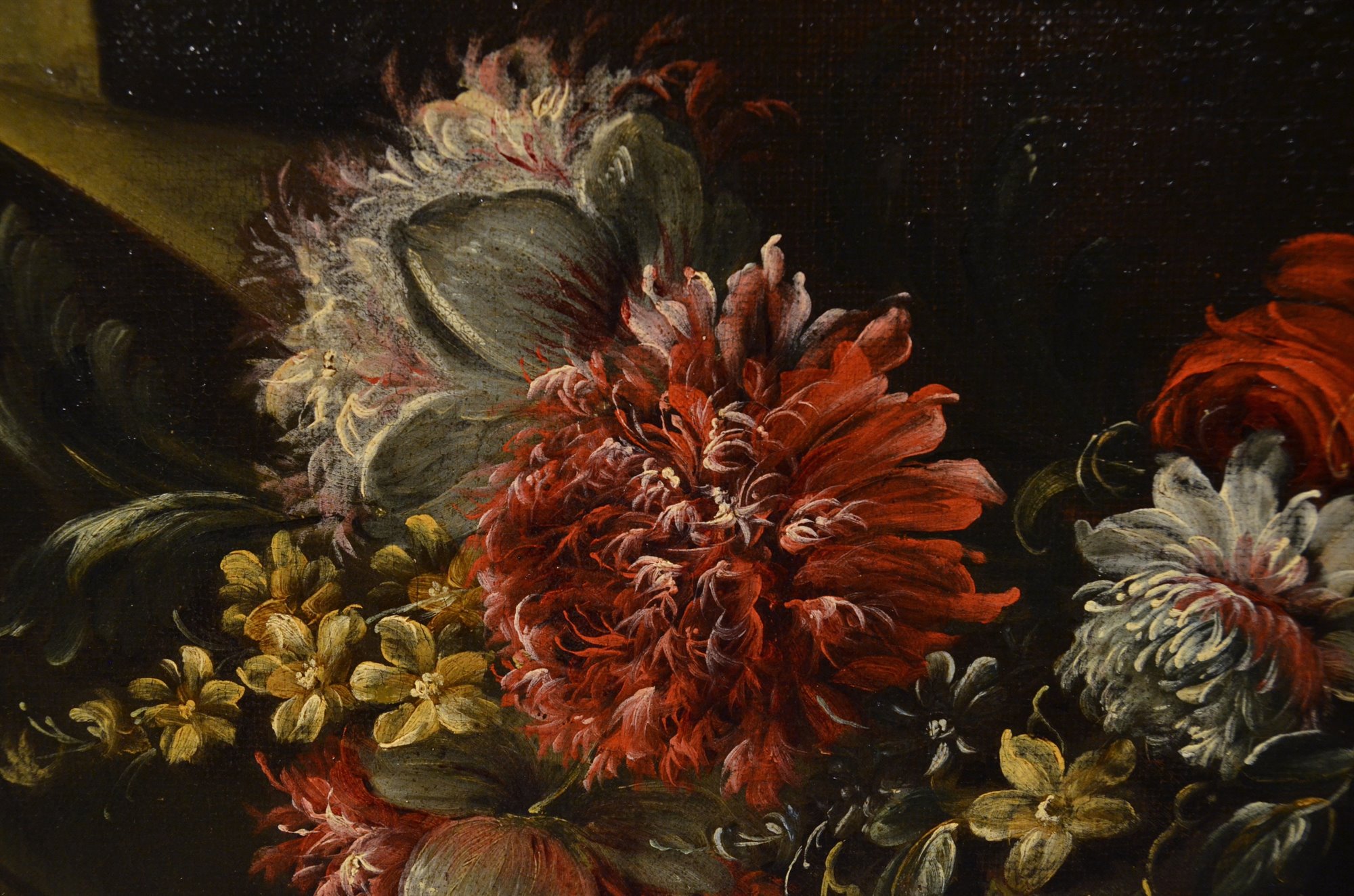 Pieter Casteels III  (Anversa 1684 – Richmond 1749) -firmato-
