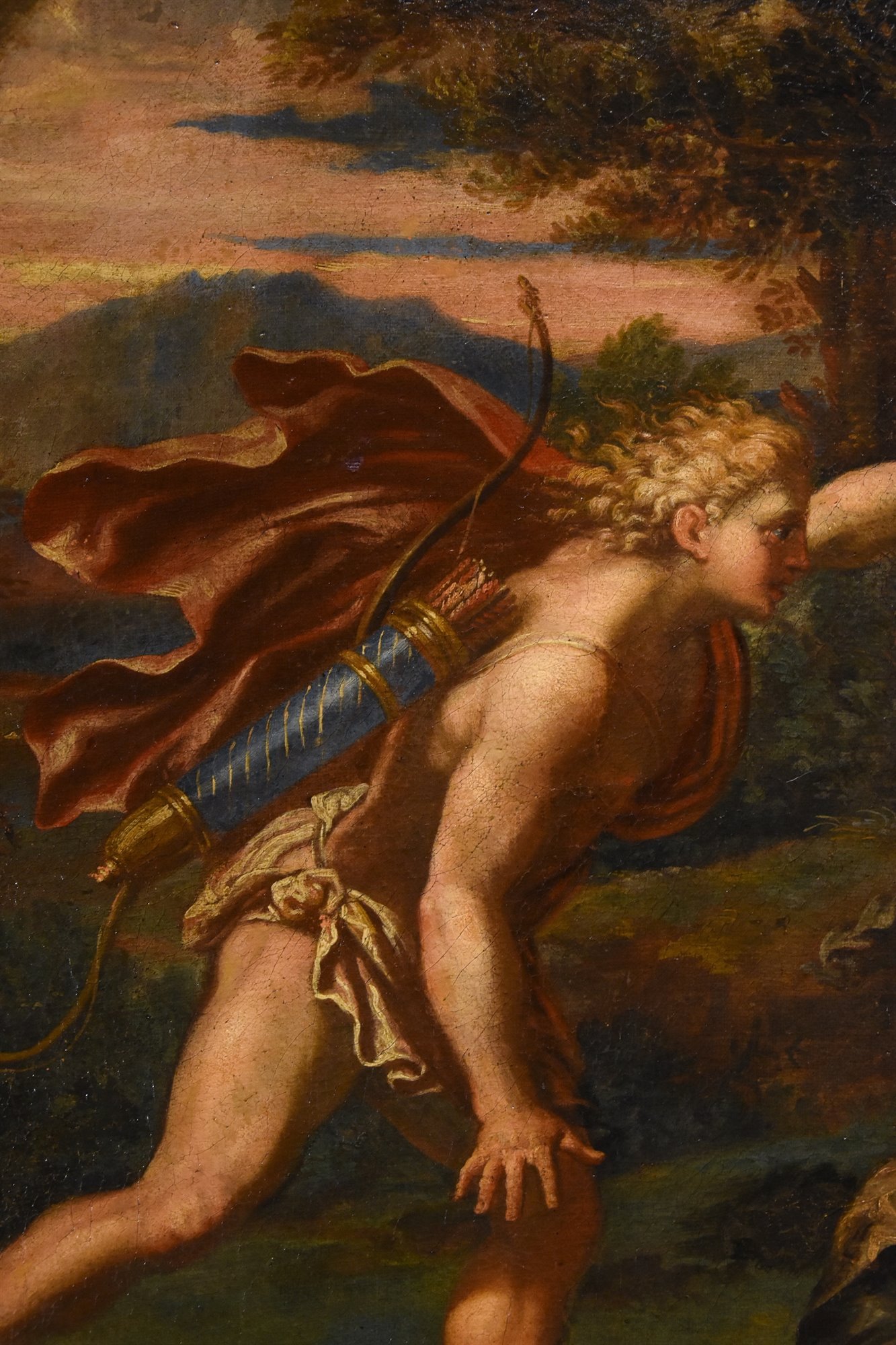 Il mito di Apollo e Dafne
