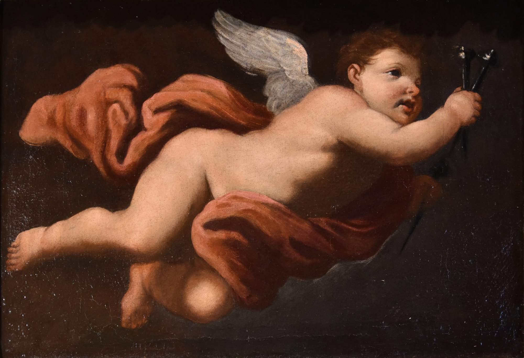 Angelo in volo