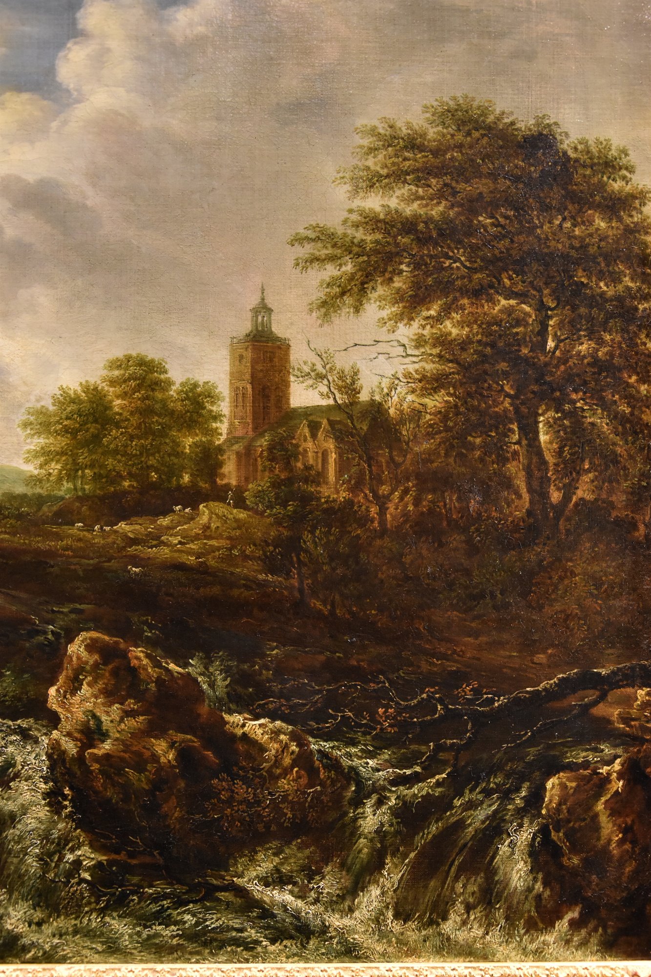 Paesaggio boscoso con cascata