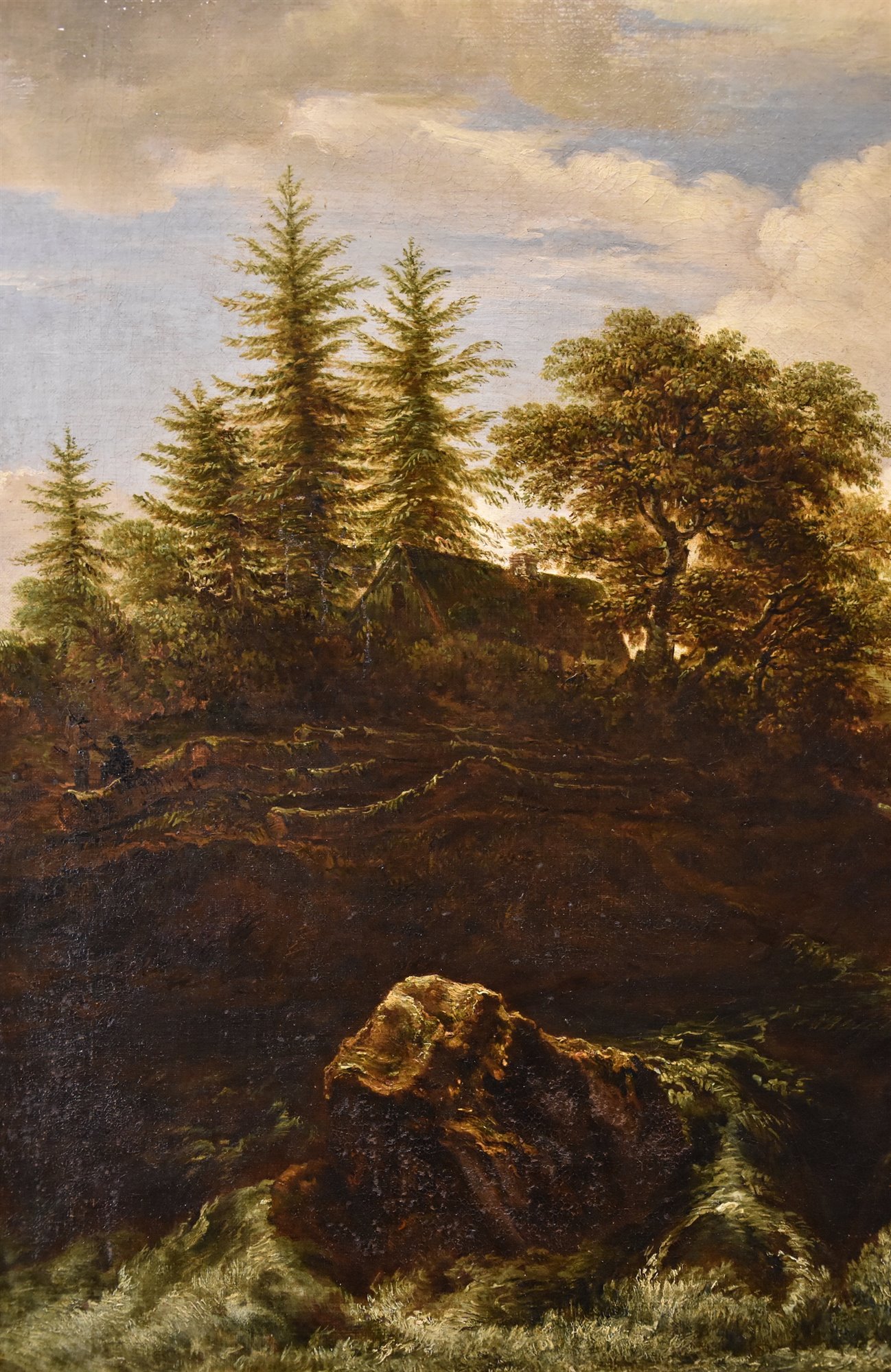 Paesaggio boscoso con cascata