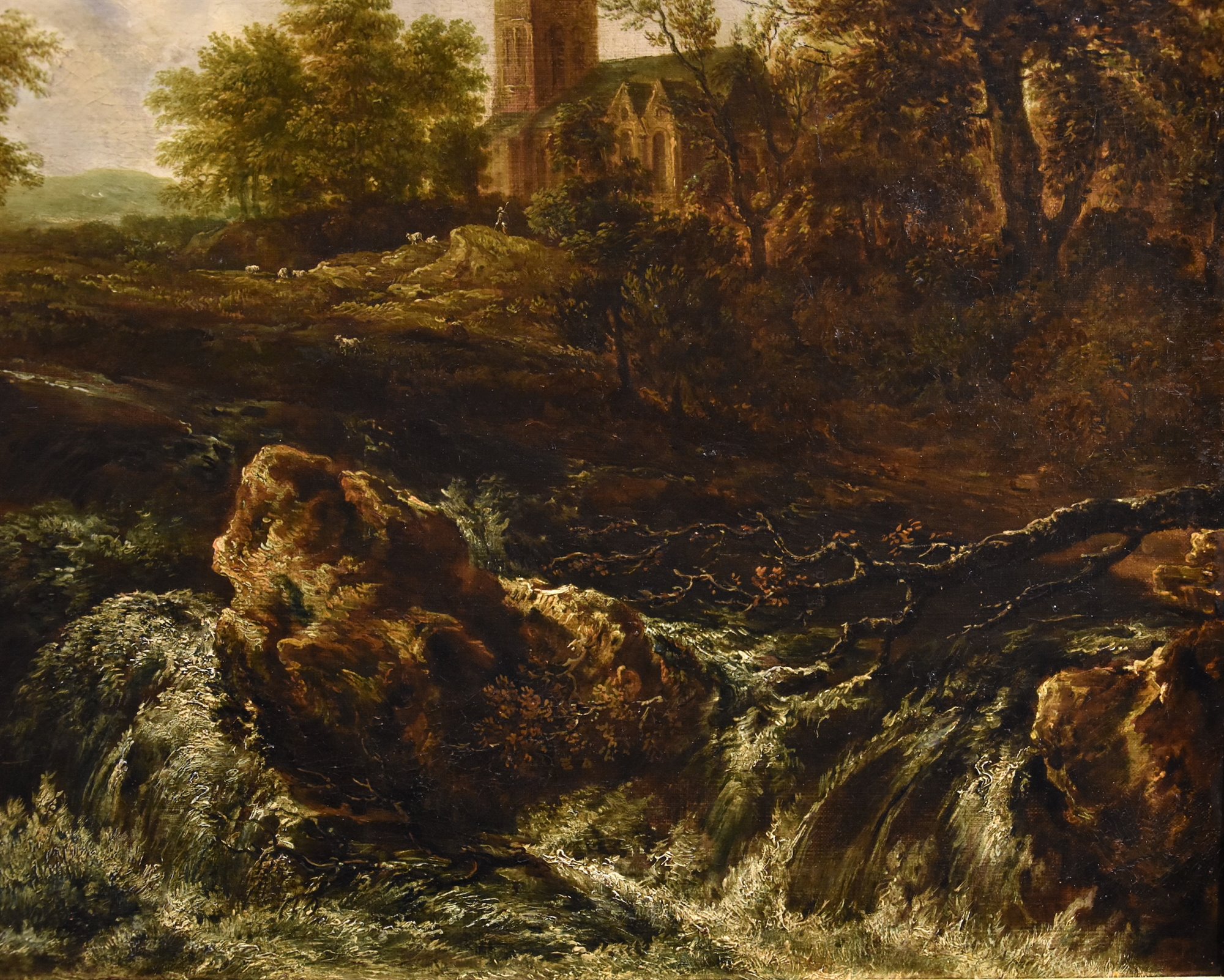 Paesaggio boscoso con cascata