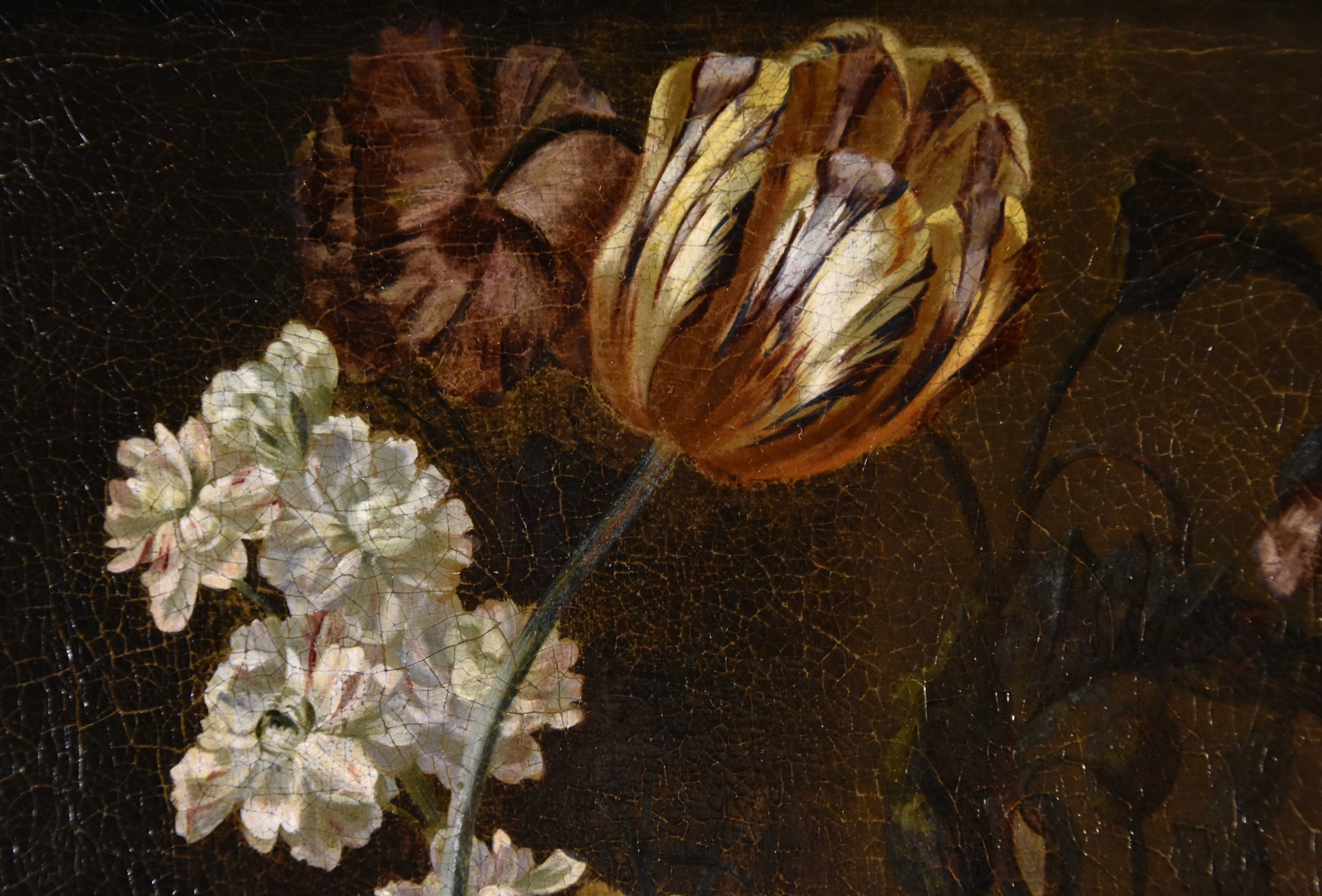 Natura morta di fiori