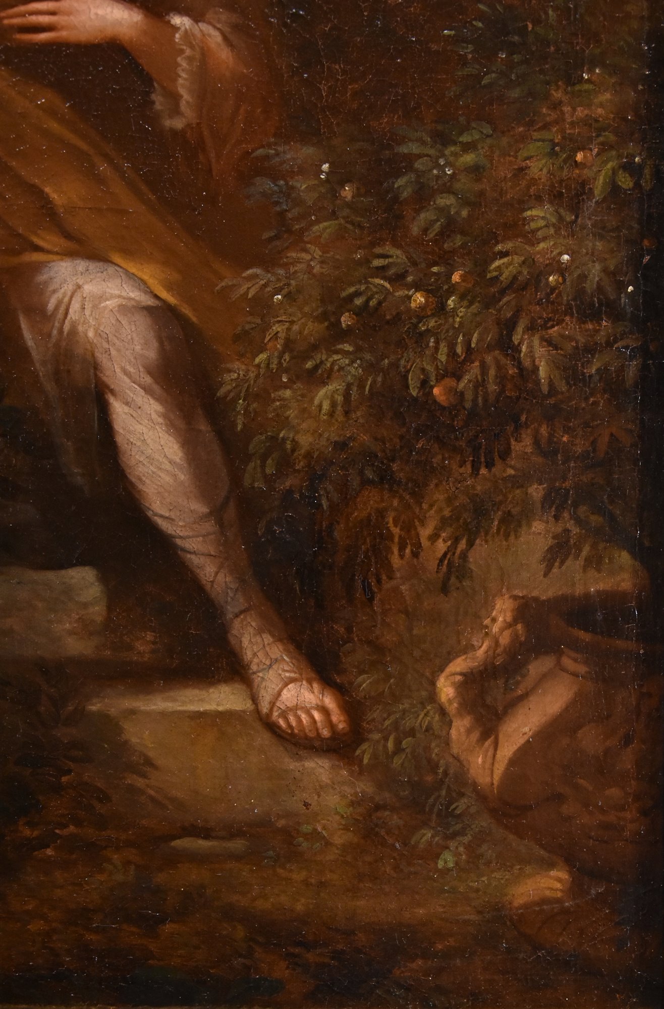 Ritratto di gentiluomo in un giardino