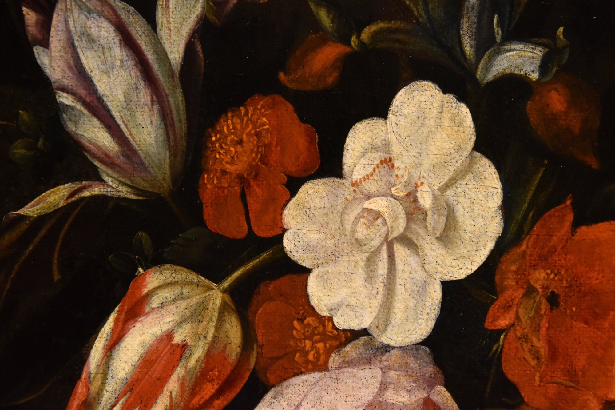 Ghirlanda di fiori con cartiglio