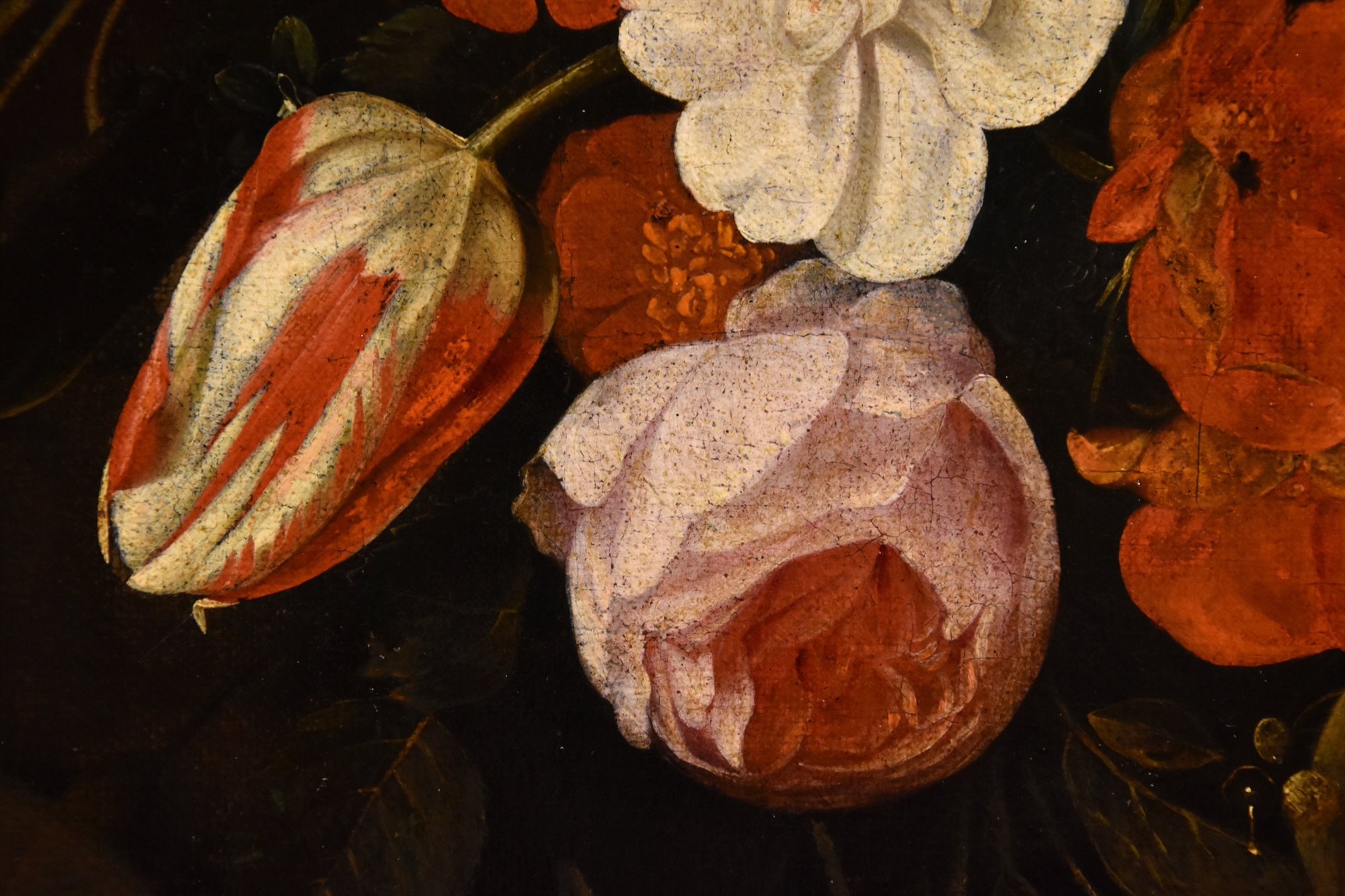 Ghirlanda di fiori con cartiglio