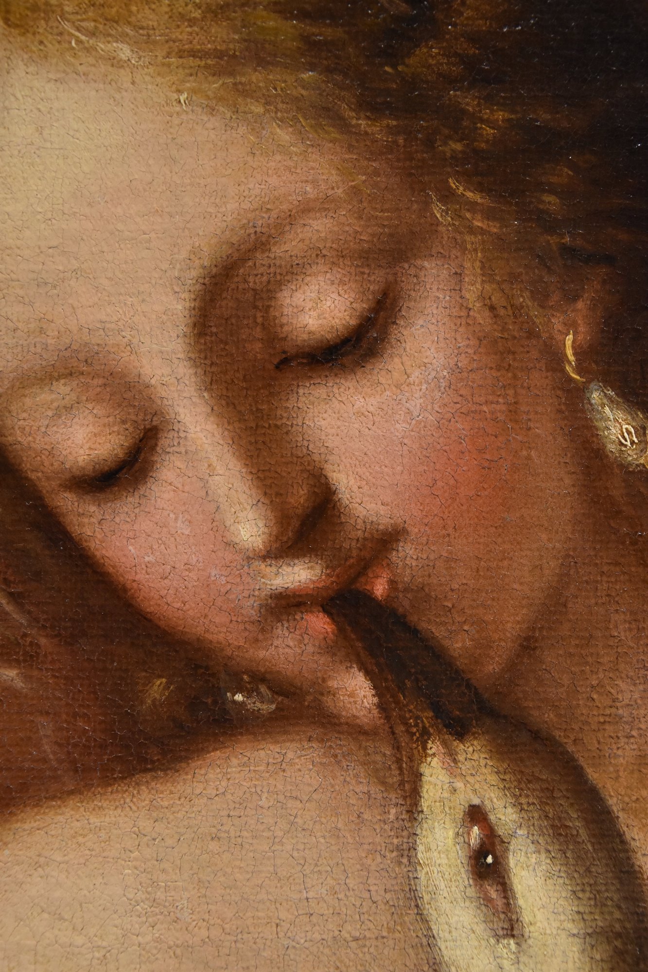 Leda e il cigno