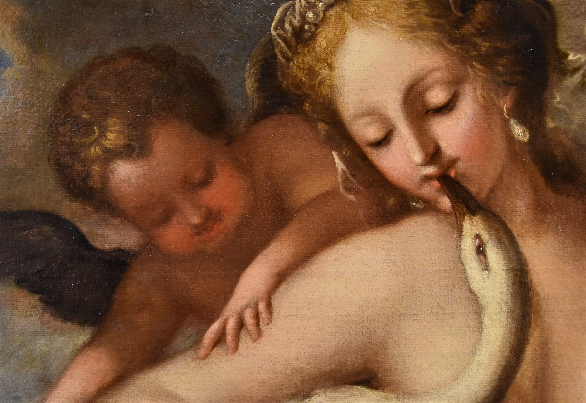 Leda e il cigno