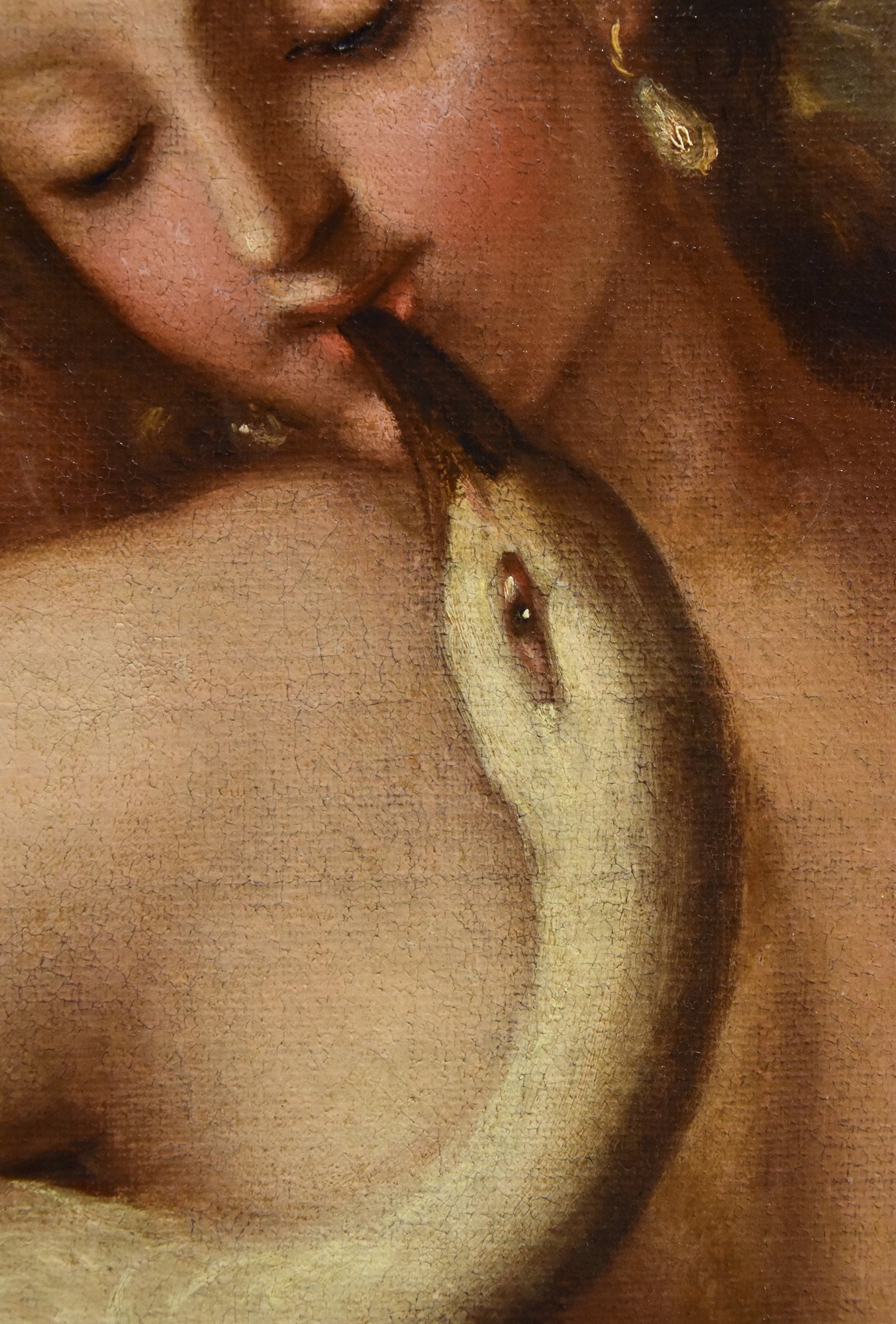 Leda e il cigno