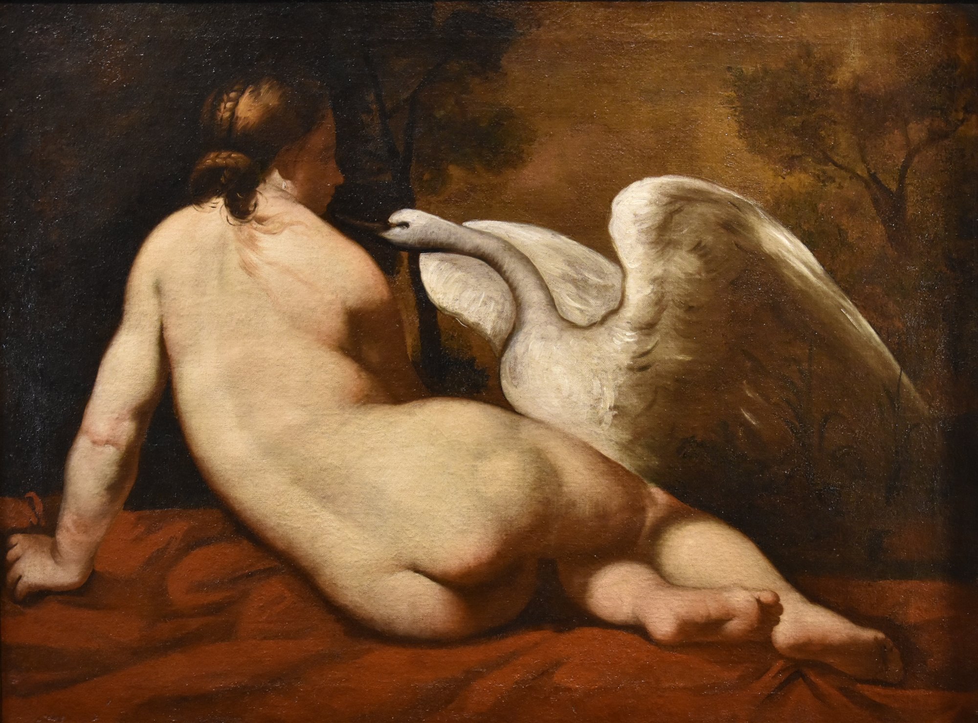 Leda e il cigno