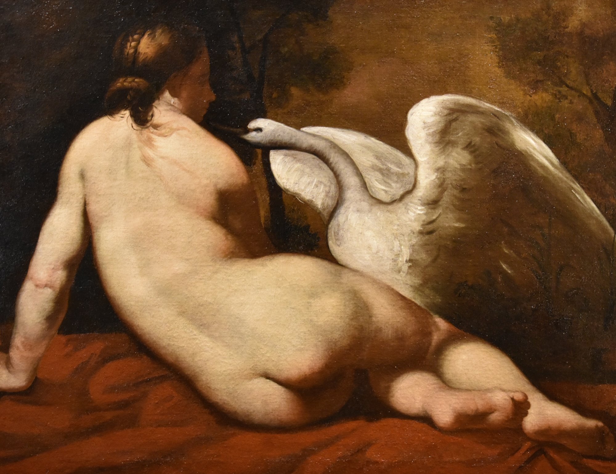 Leda e il cigno