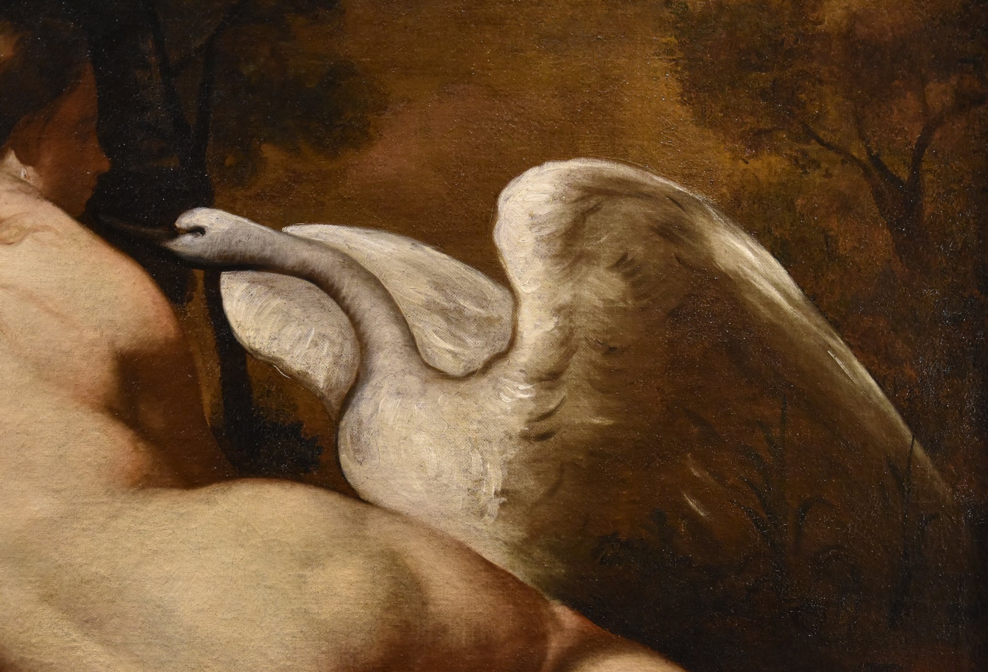 Leda e il cigno