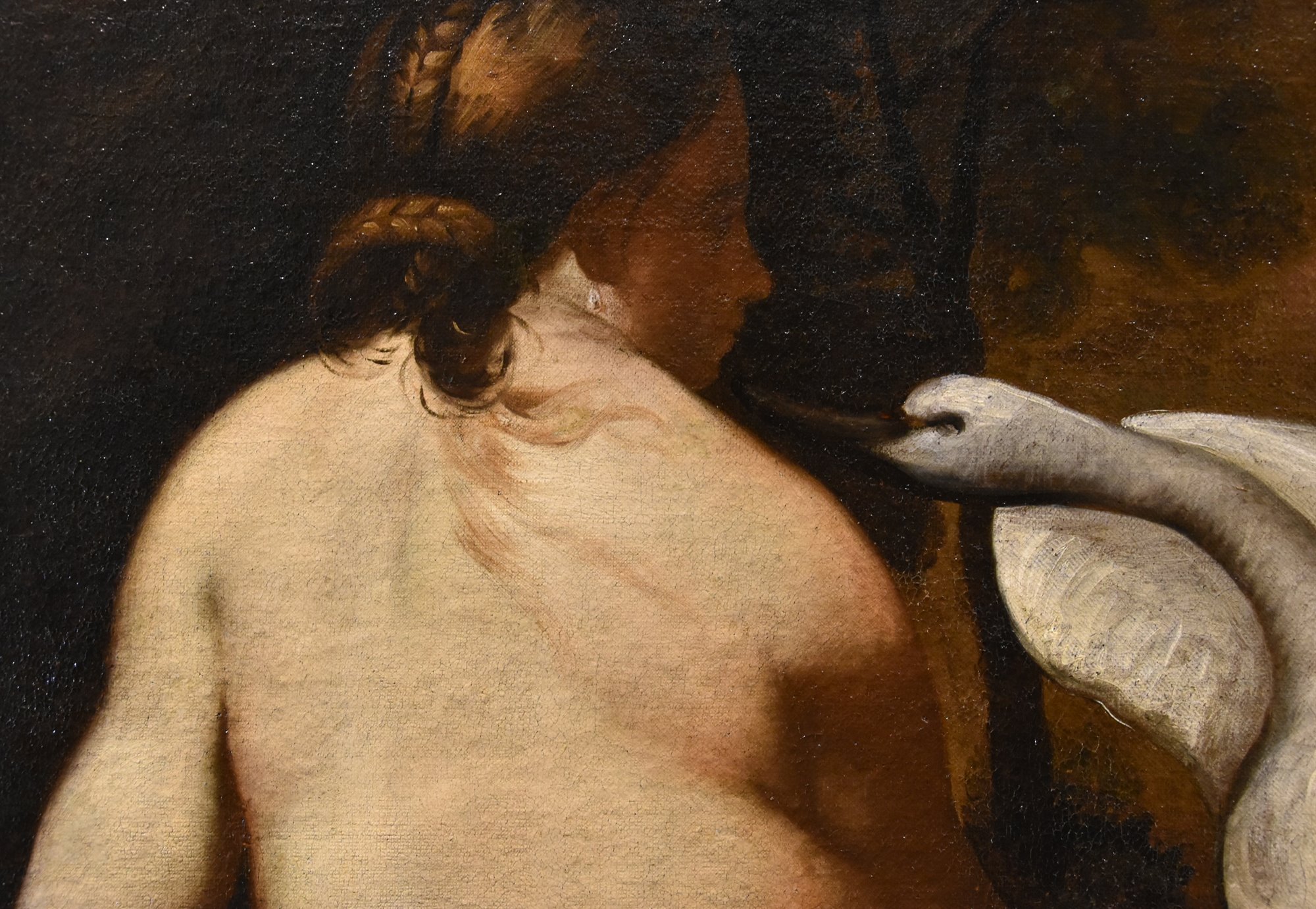 Leda e il cigno