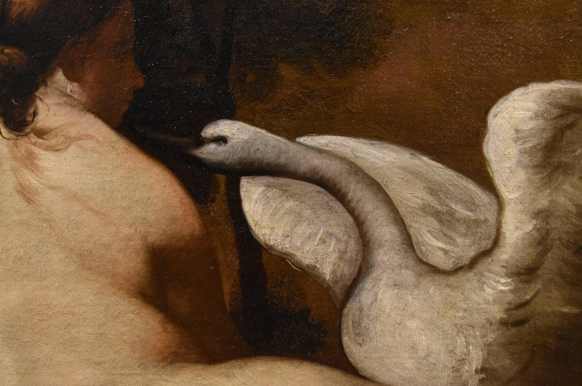 Leda e il cigno