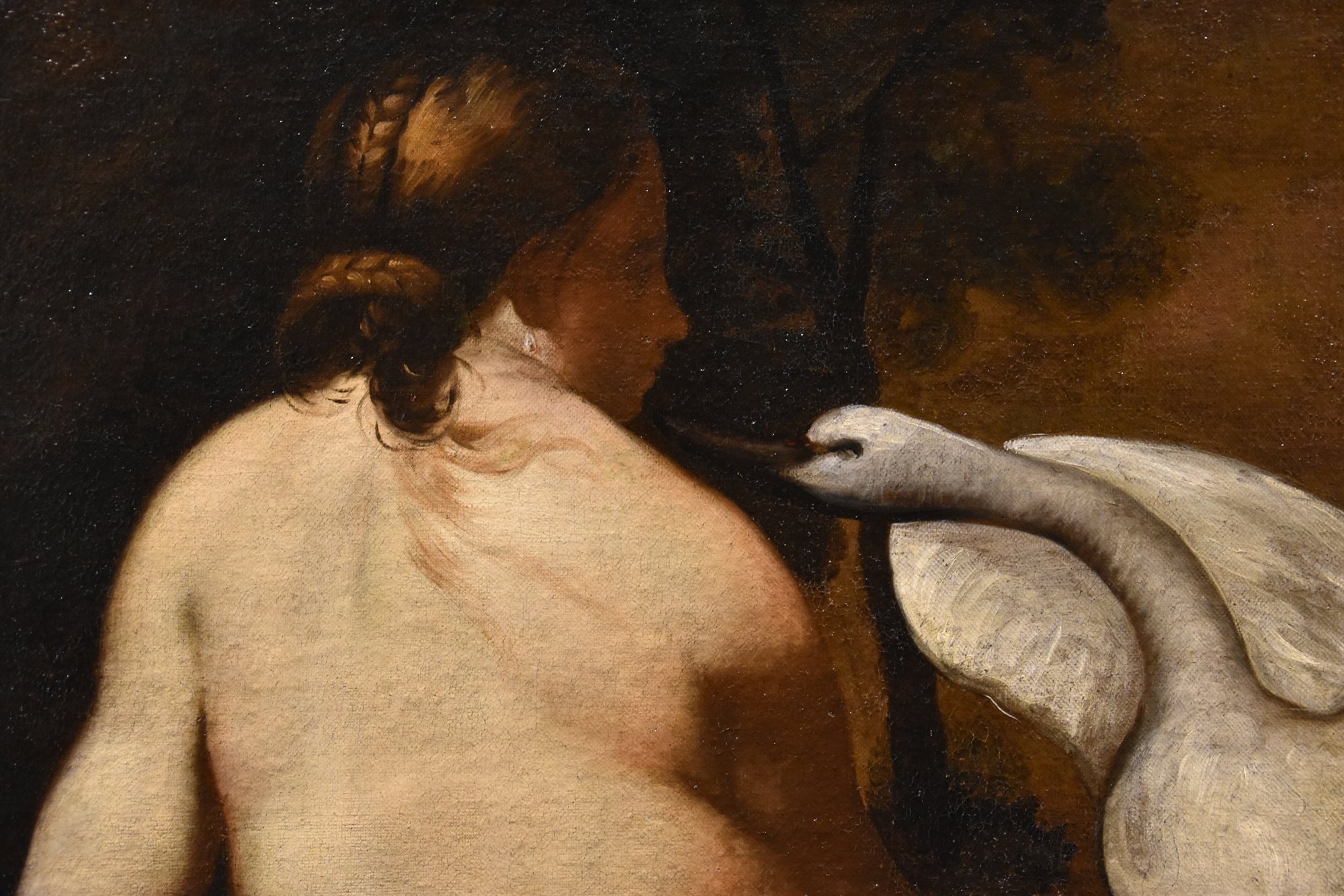 Leda e il cigno