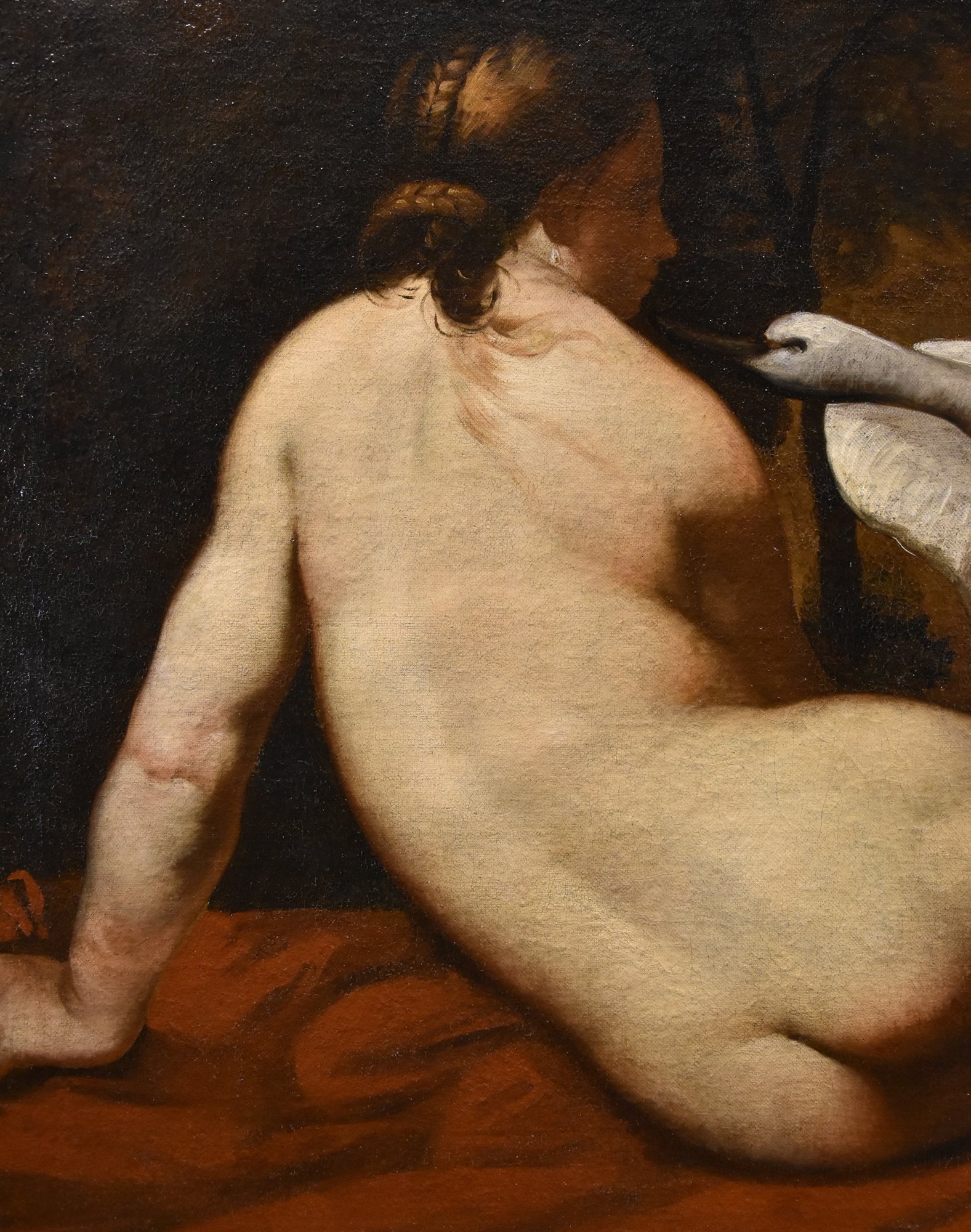 Leda e il cigno