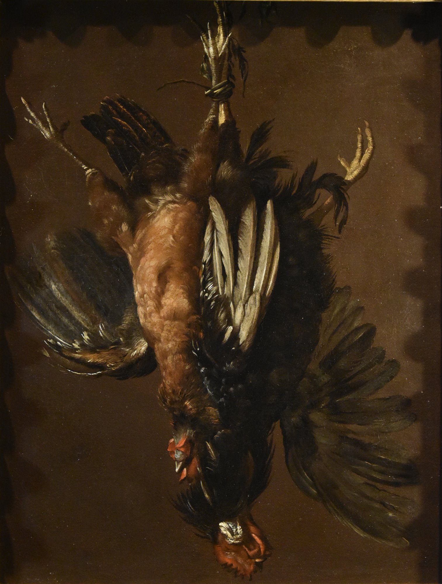 Natura morta con coppia di gallinacei