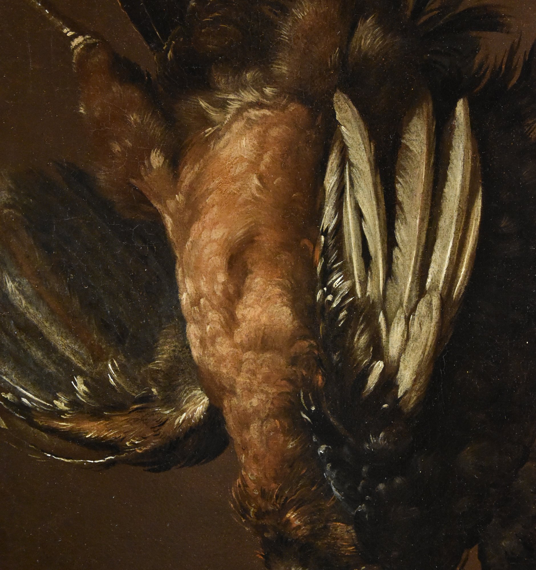 Natura morta con coppia di gallinacei