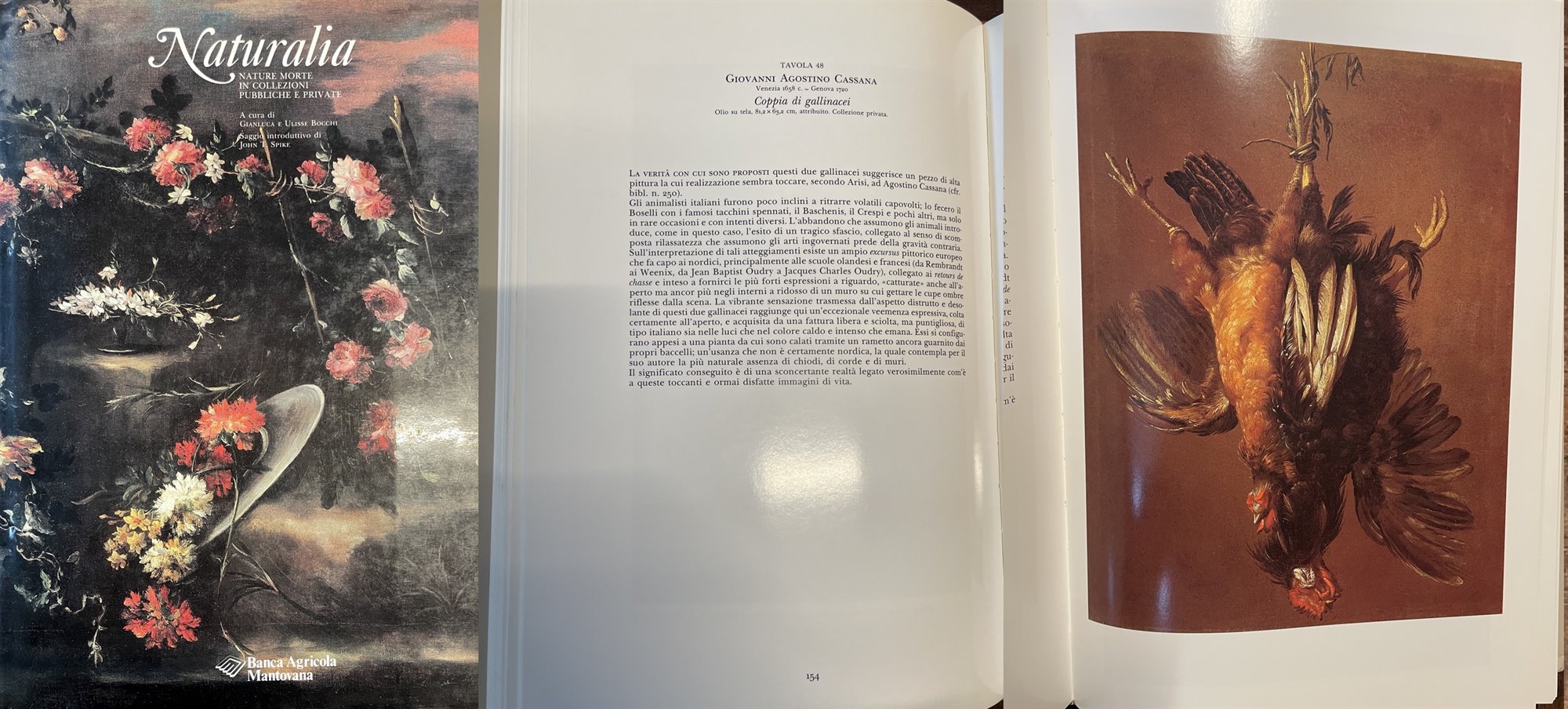 Natura morta con coppia di gallinacei