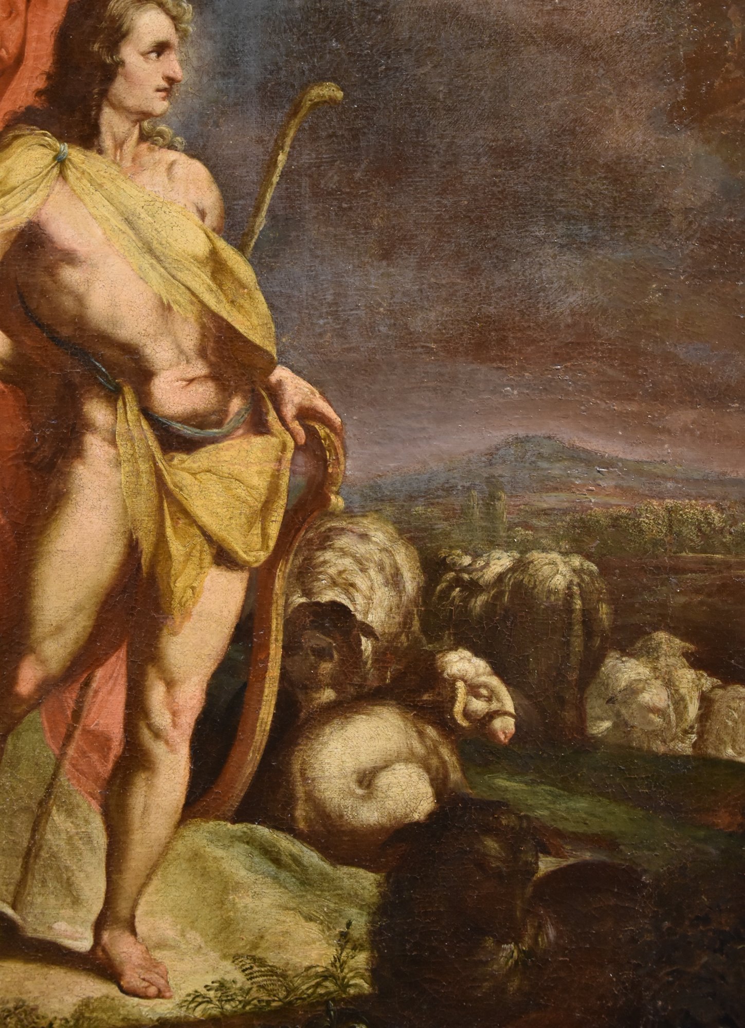 Apollo sorveglia le greggi di re Admeto