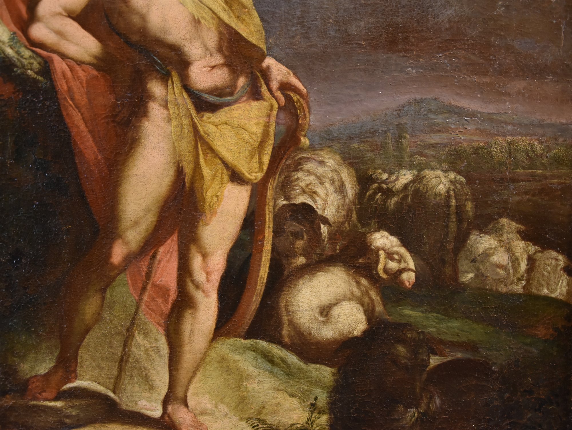 Apollo sorveglia le greggi di re Admeto