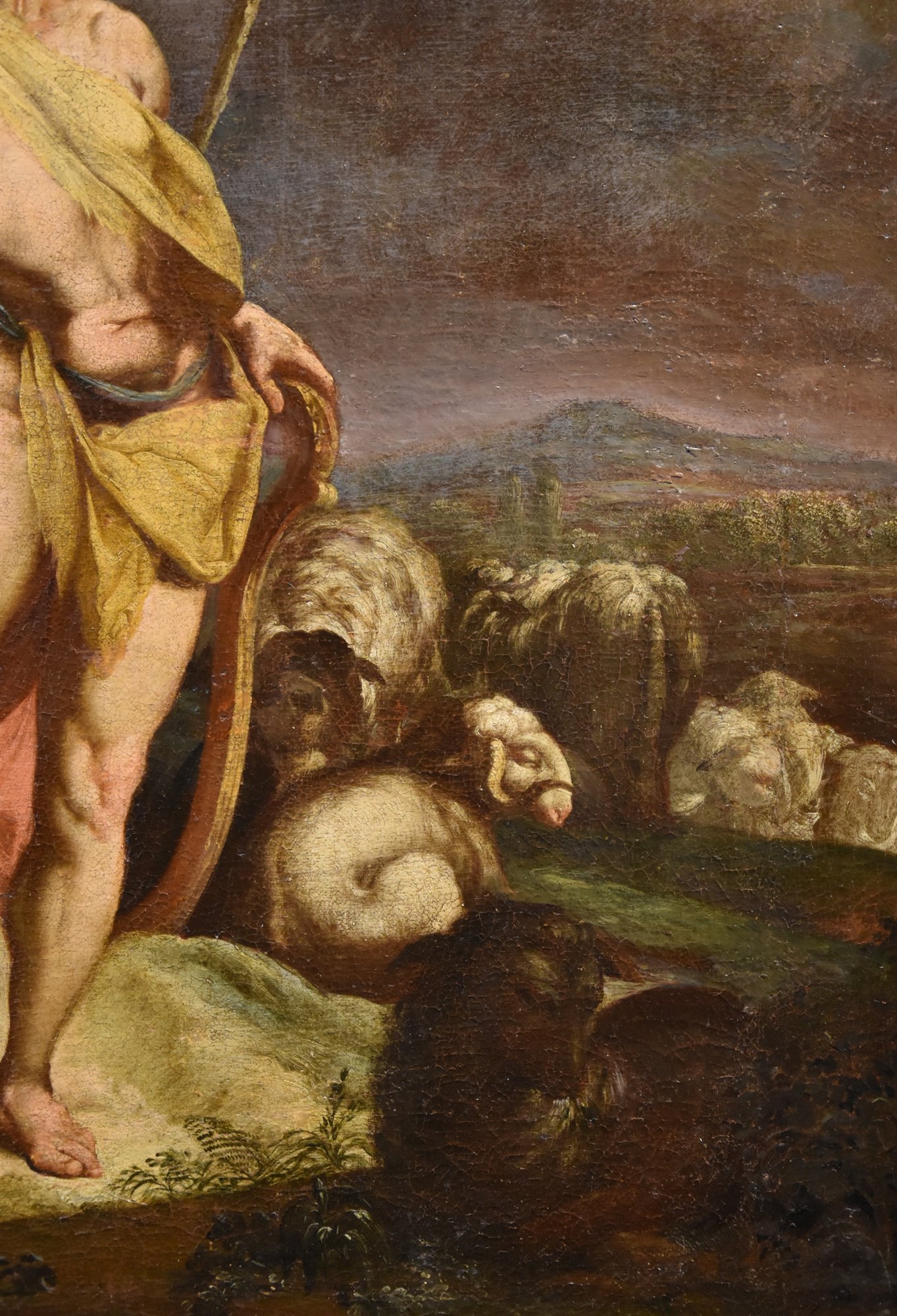 Apollo sorveglia le greggi di re Admeto