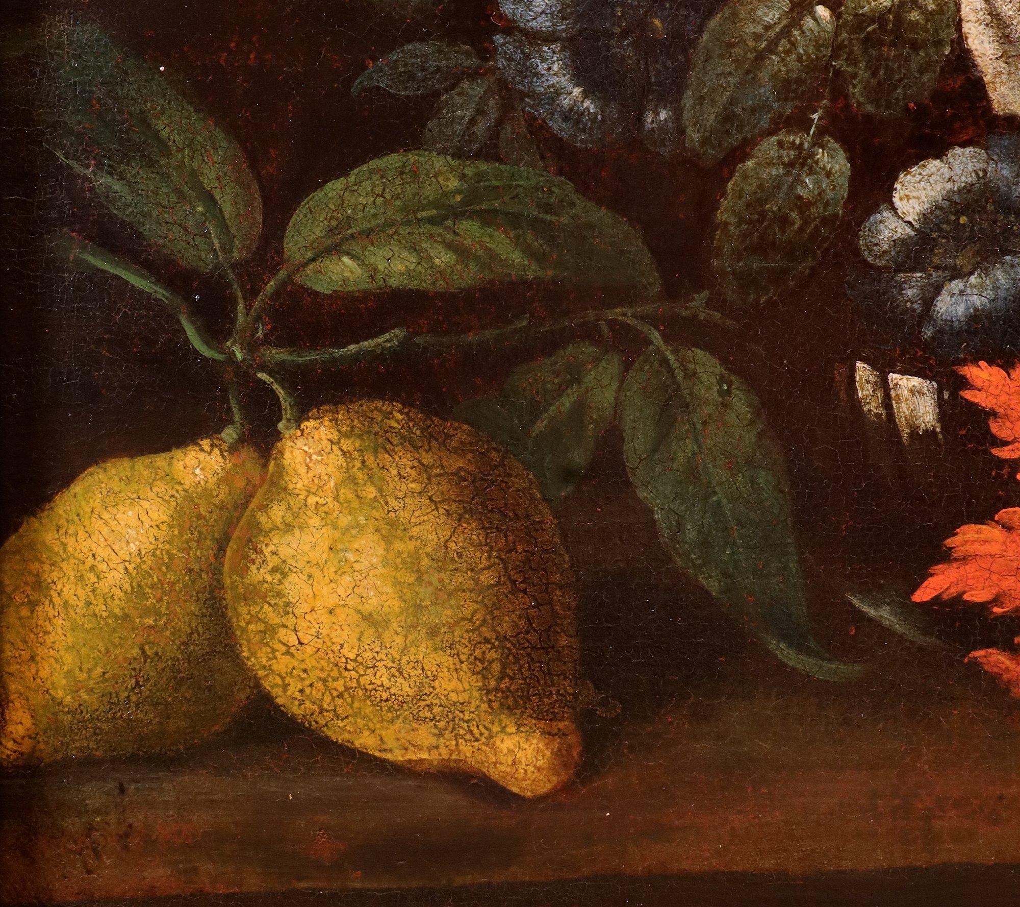 Natura morta con fiori e agrumi