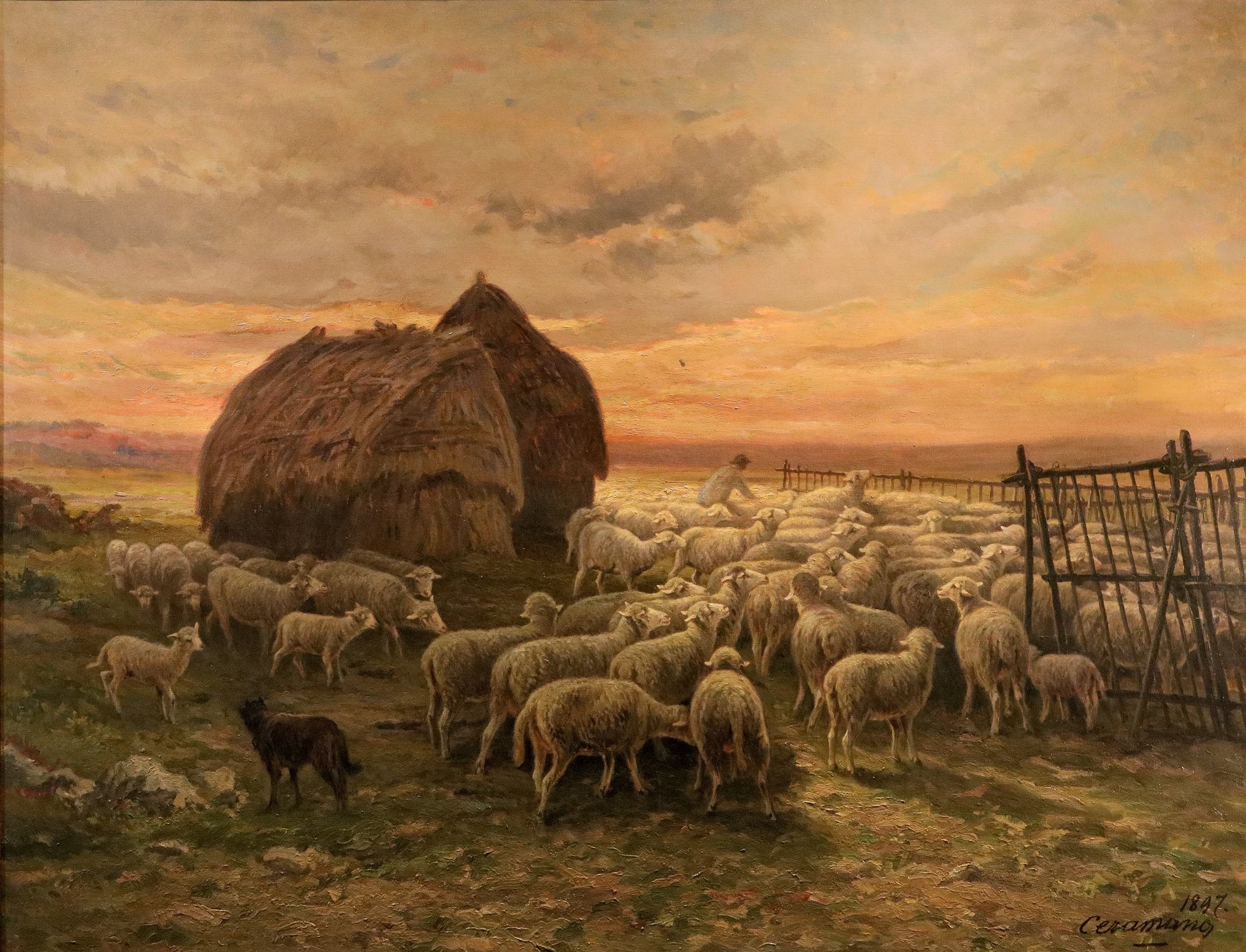 Paesaggio al tramonto con gregge al pascolo