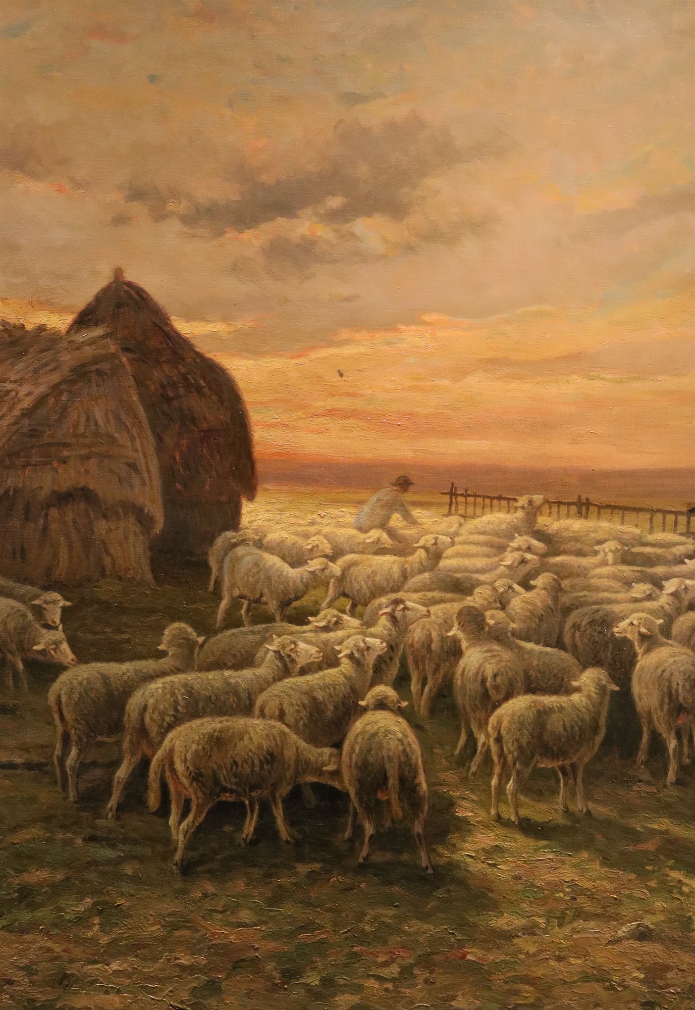 Paesaggio al tramonto con gregge al pascolo