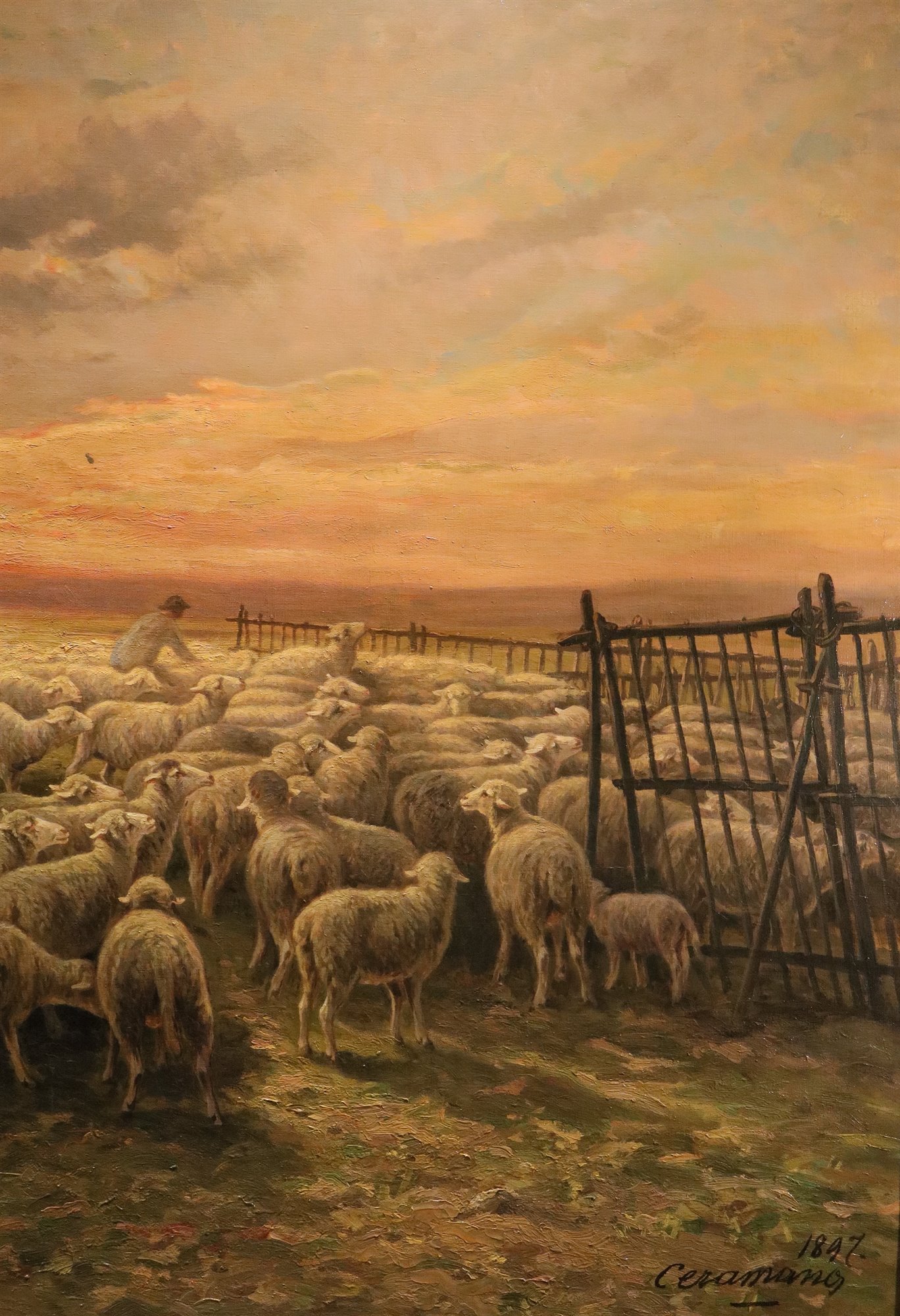 Paesaggio al tramonto con gregge al pascolo