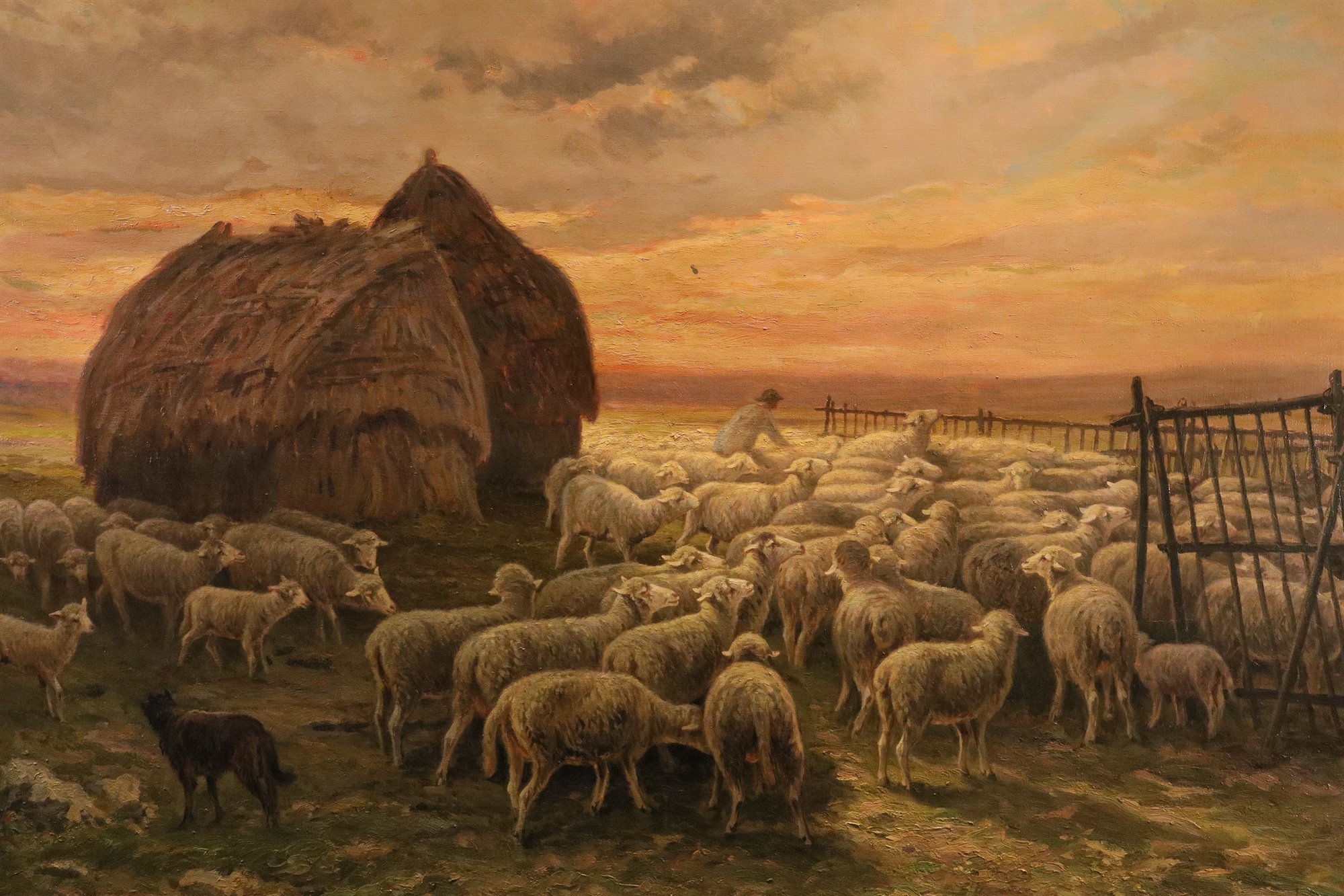 Paesaggio al tramonto con gregge al pascolo