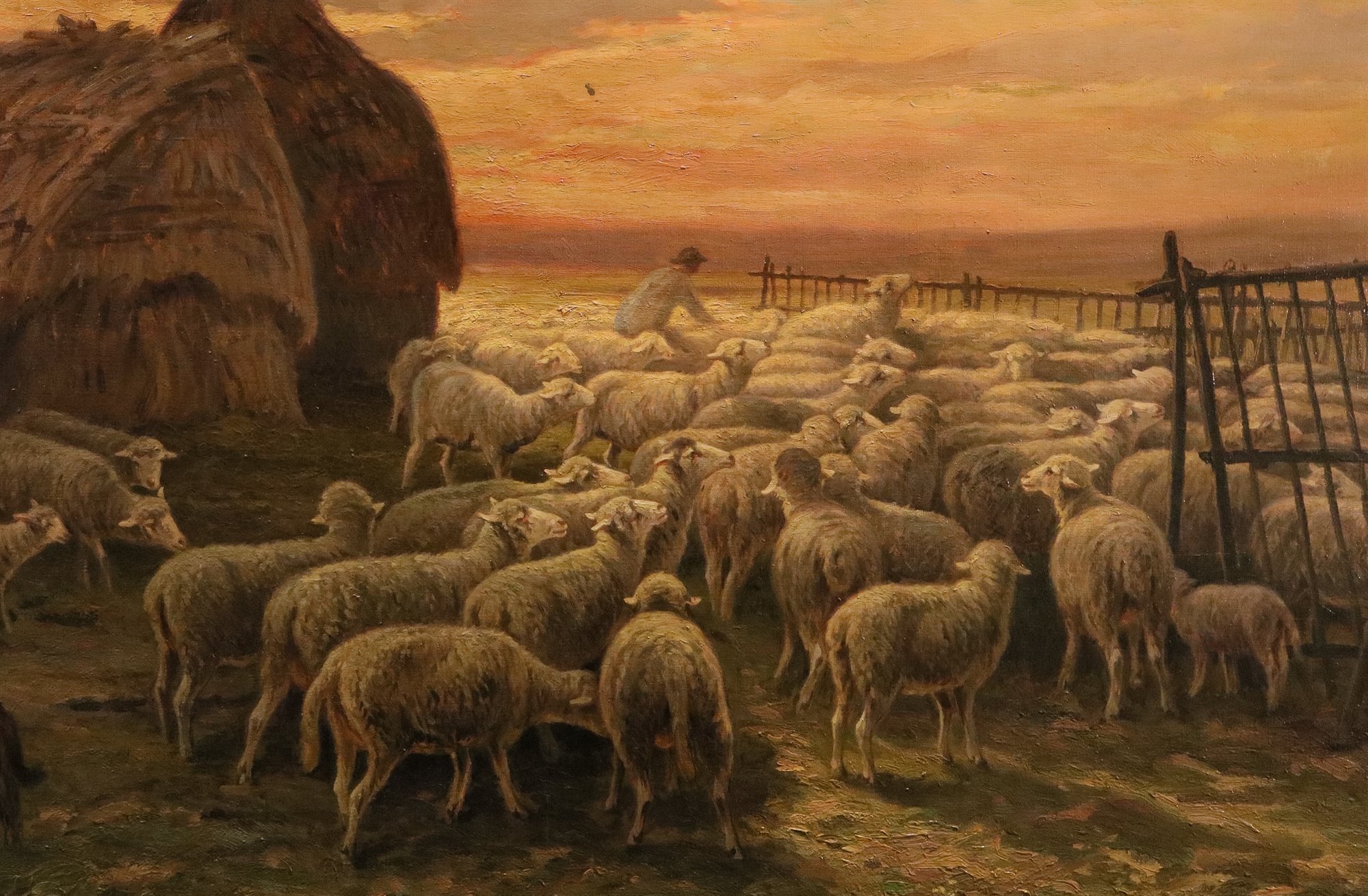 Paesaggio al tramonto con gregge al pascolo