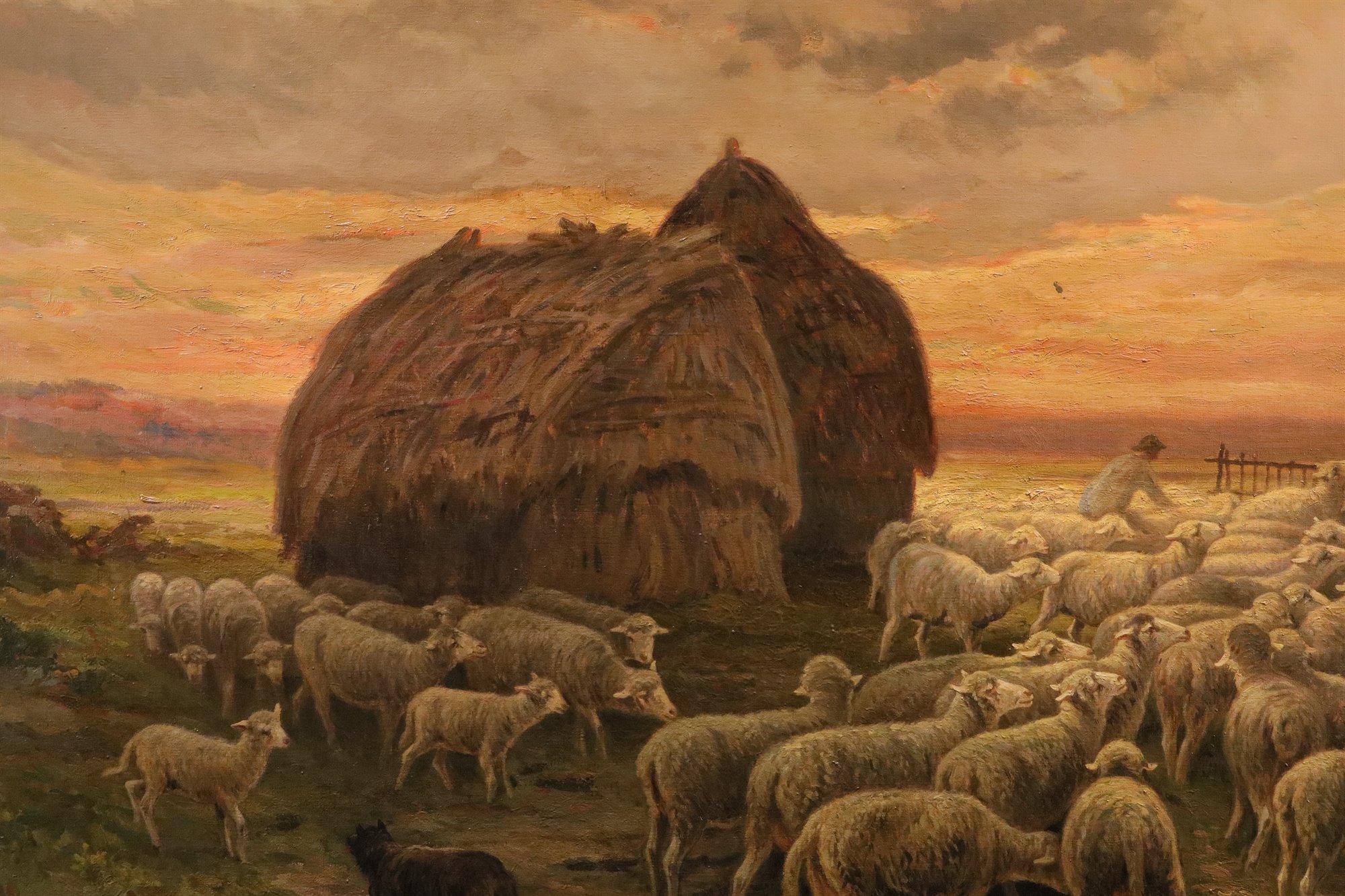Paesaggio al tramonto con gregge al pascolo