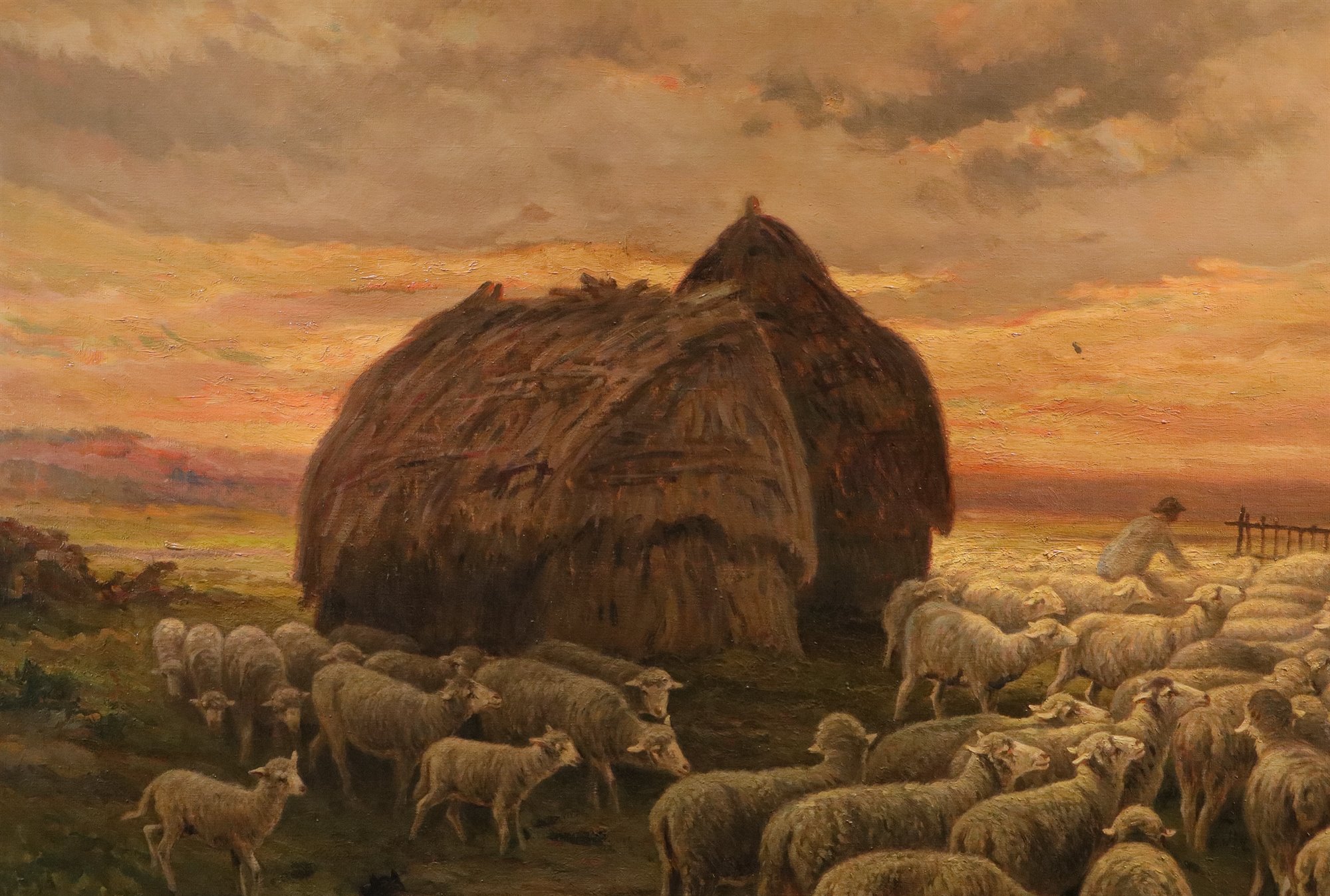 Paesaggio al tramonto con gregge al pascolo