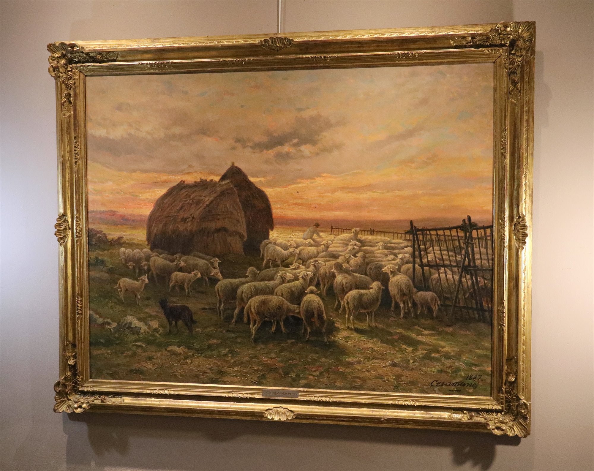 Paesaggio al tramonto con gregge al pascolo