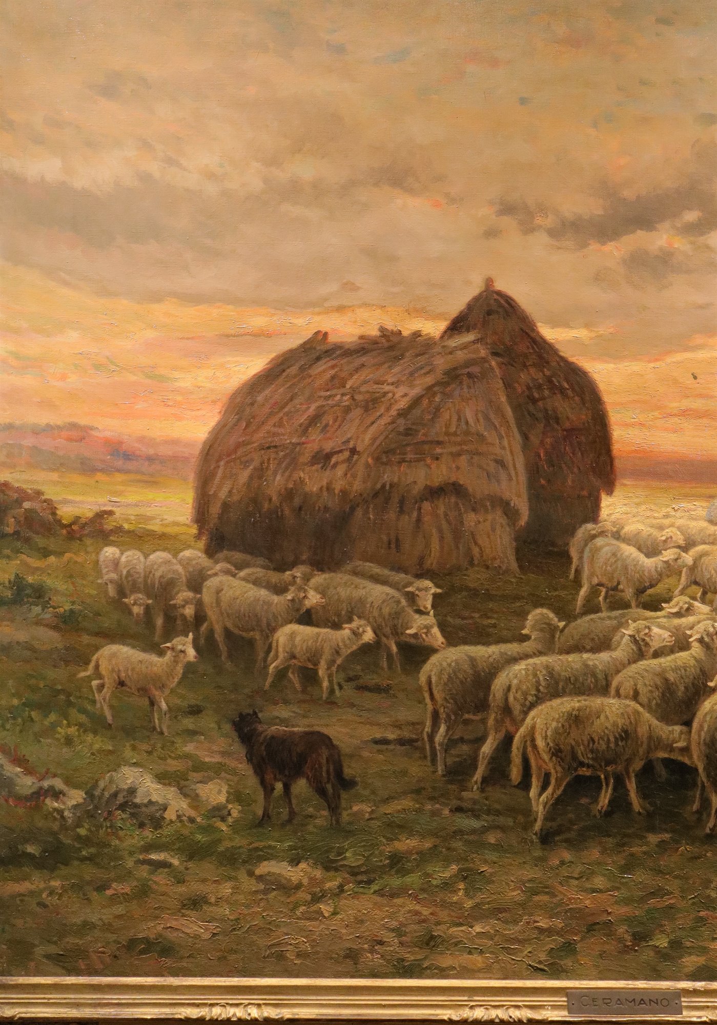Paesaggio al tramonto con gregge al pascolo