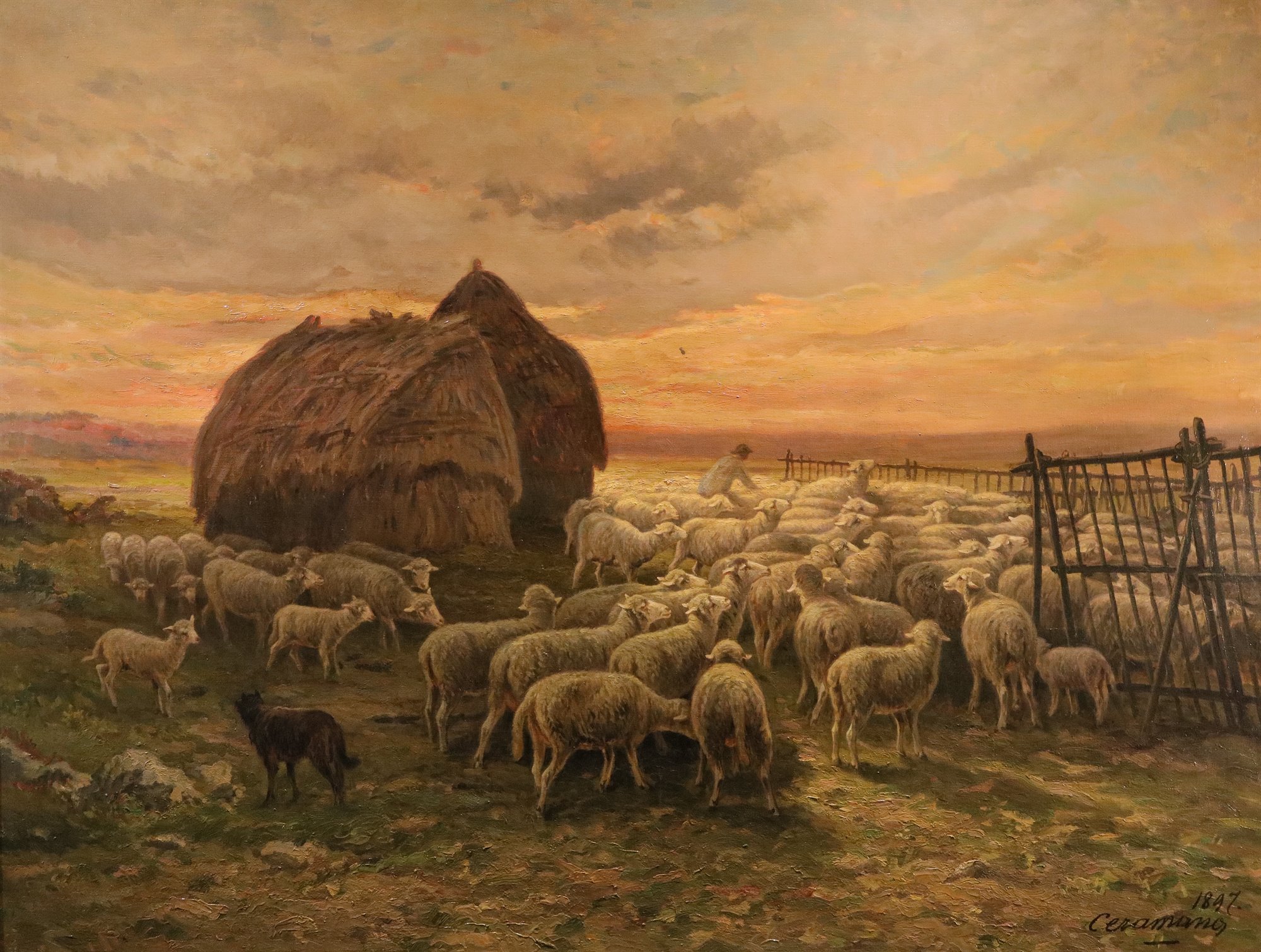 Paesaggio al tramonto con gregge al pascolo