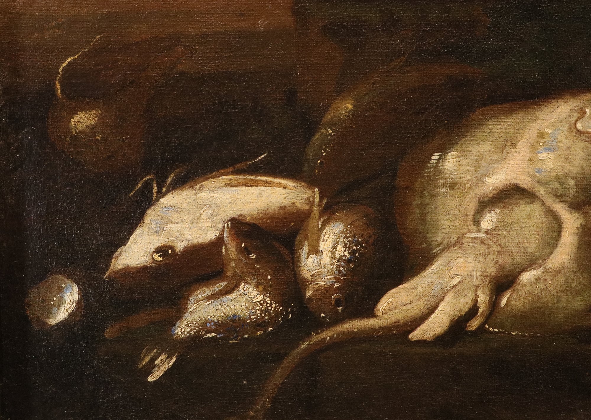 Coppia di nature morte con pesci e crostacei