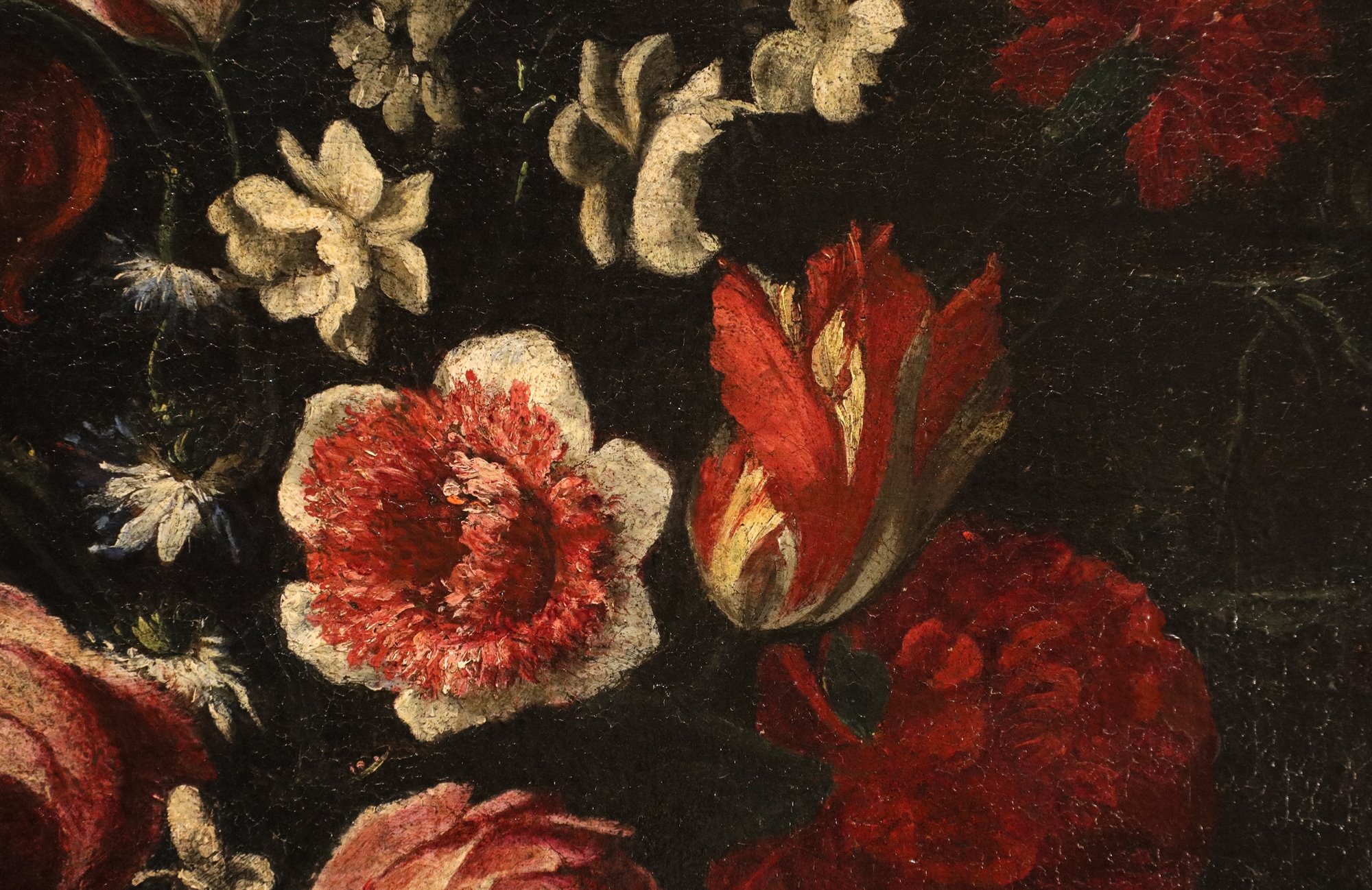 Natura morta con vaso i fiori