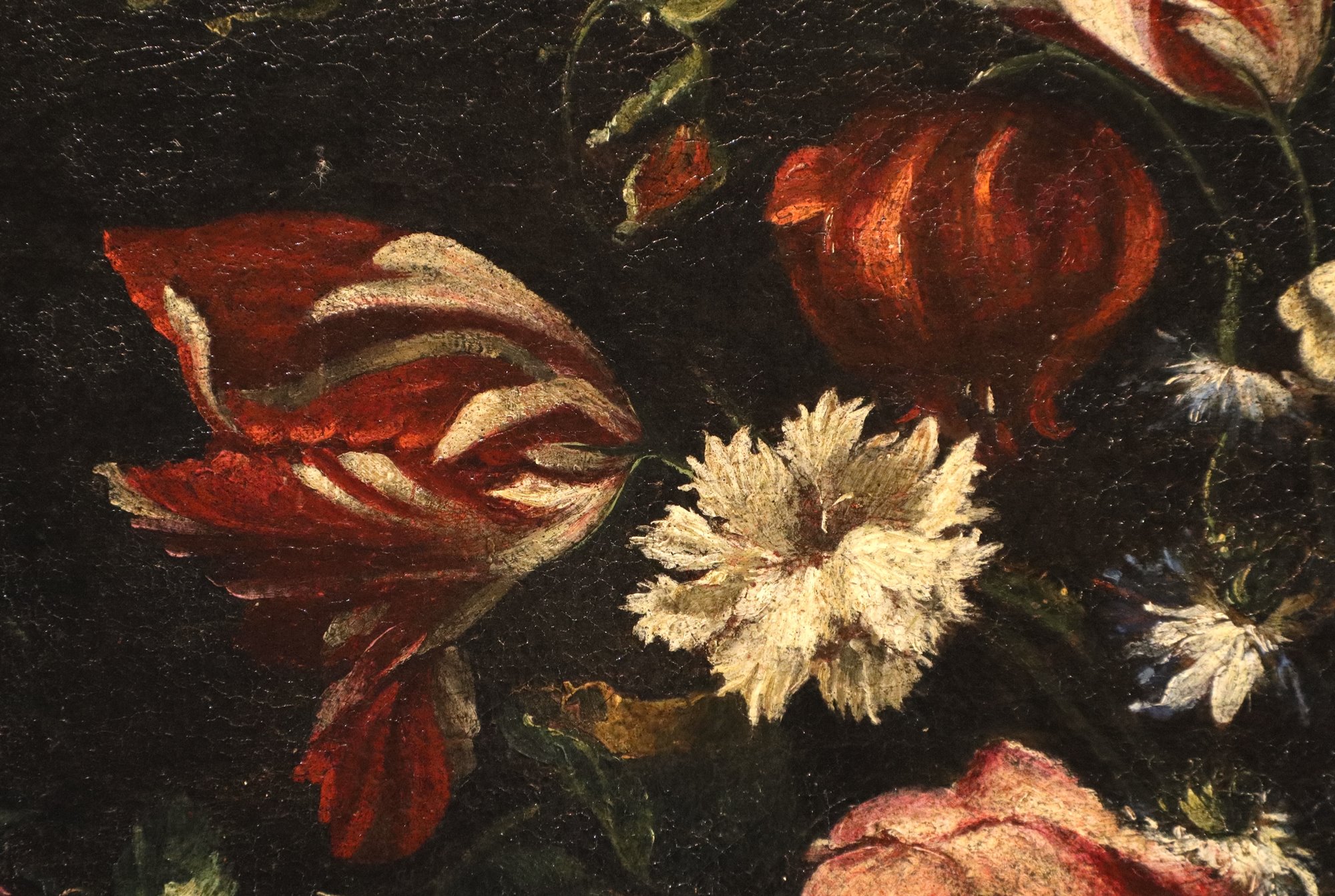 Natura morta con vaso i fiori
