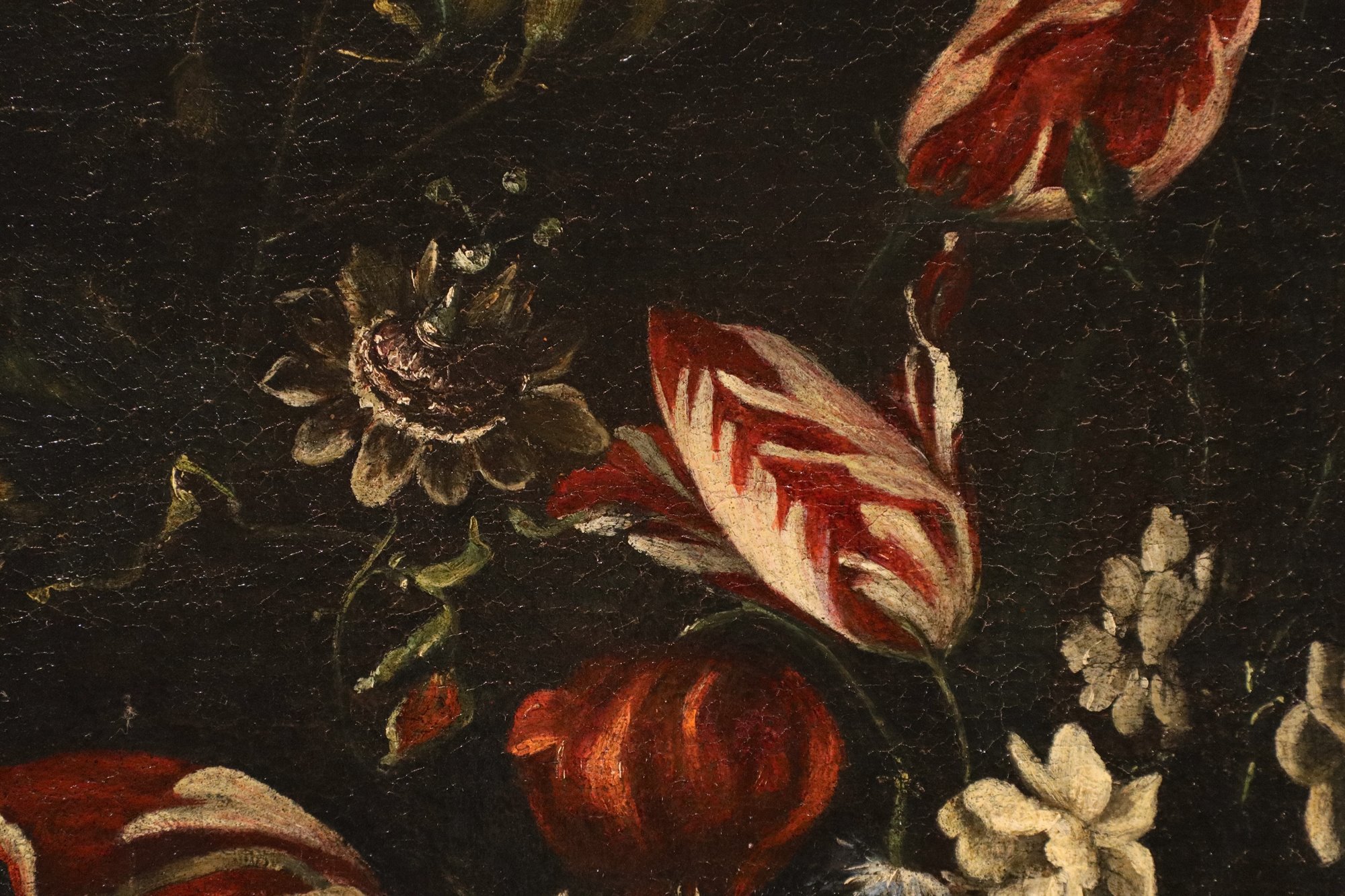 Natura morta con vaso i fiori