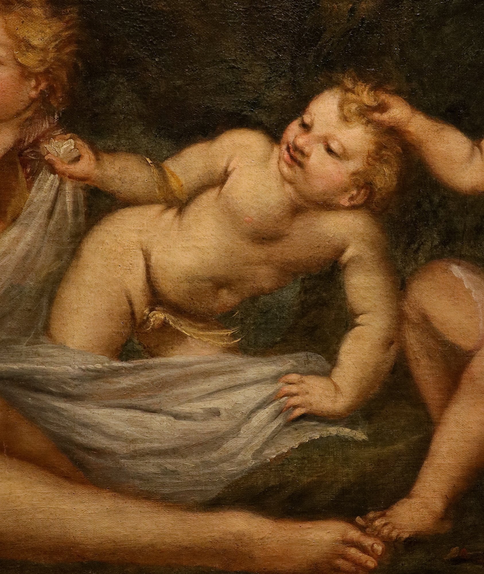Venere con tre putti