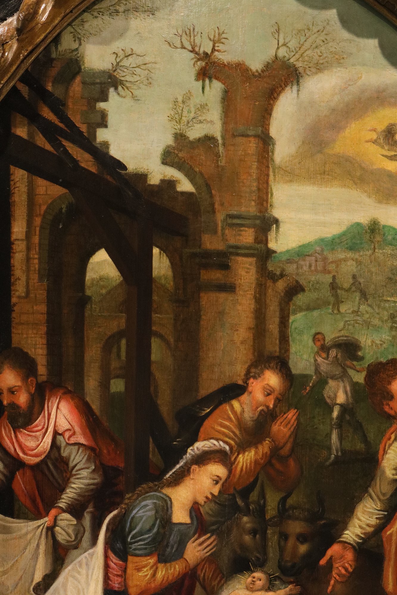 L’adozione dei pastori