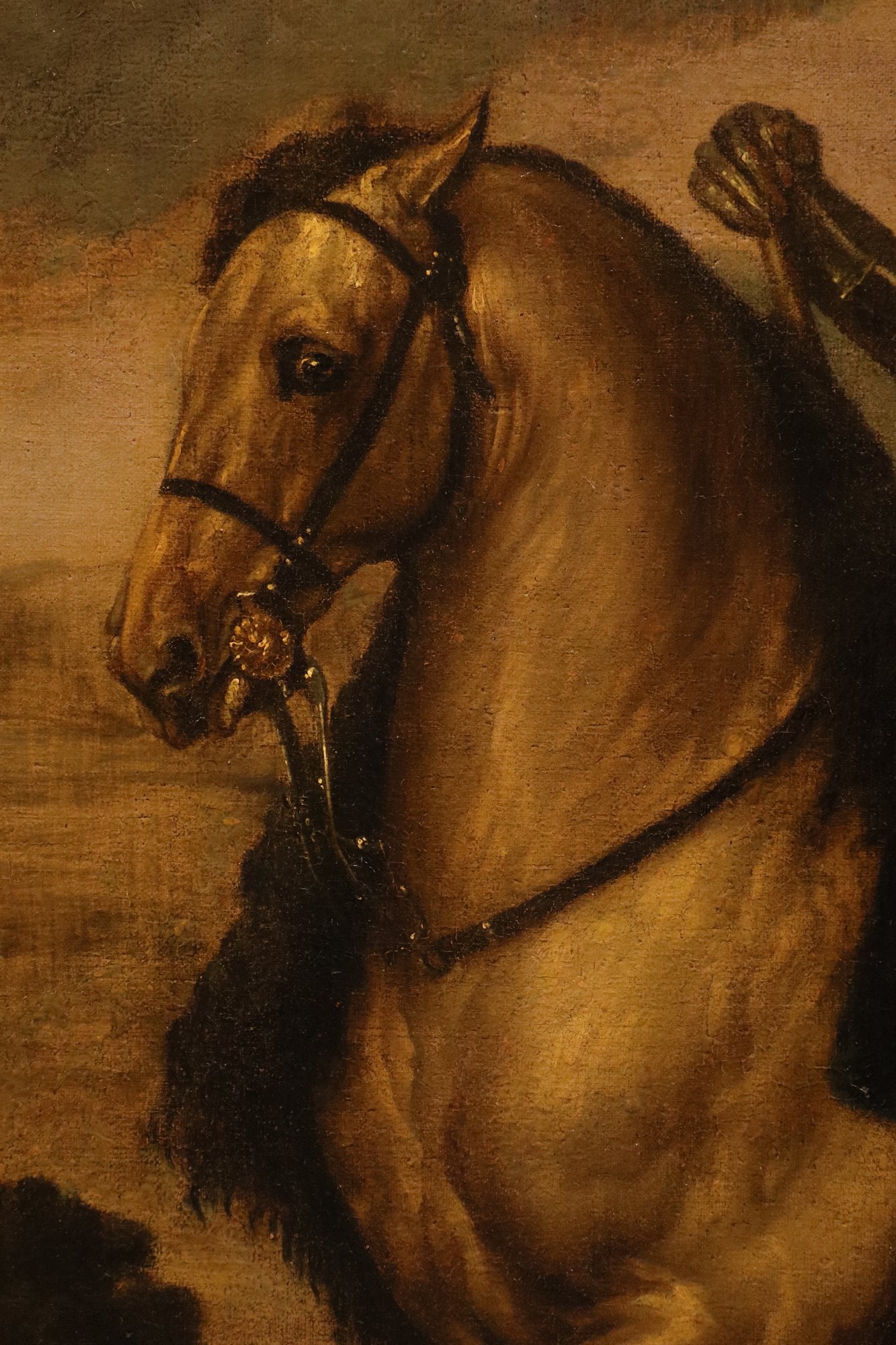 Ritratto equestre di Carlo I, Re d'Inghilterra (1600 - 49)