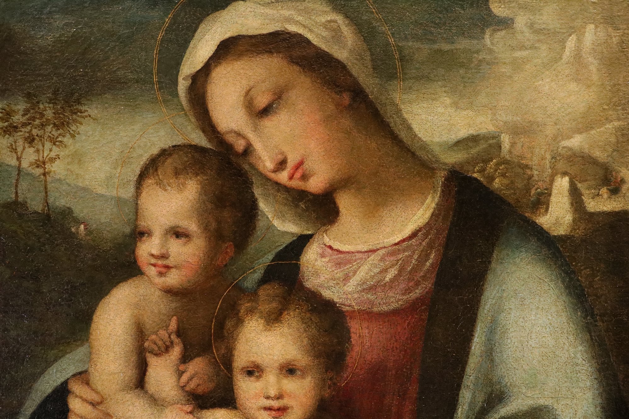 Madonna con Bambino e San Giovannino
