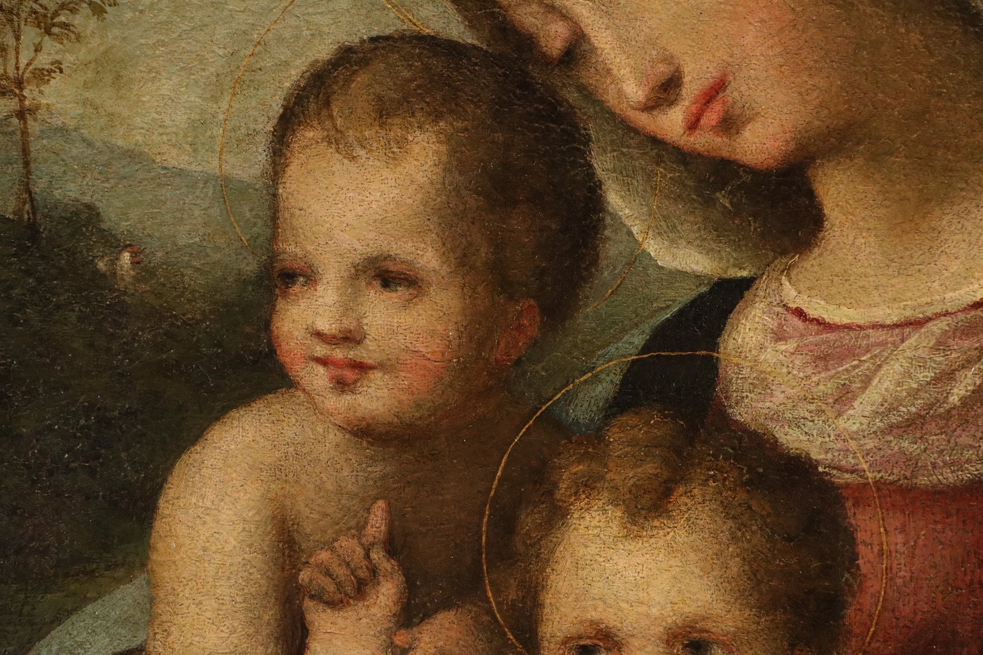 Madonna con Bambino e San Giovannino
