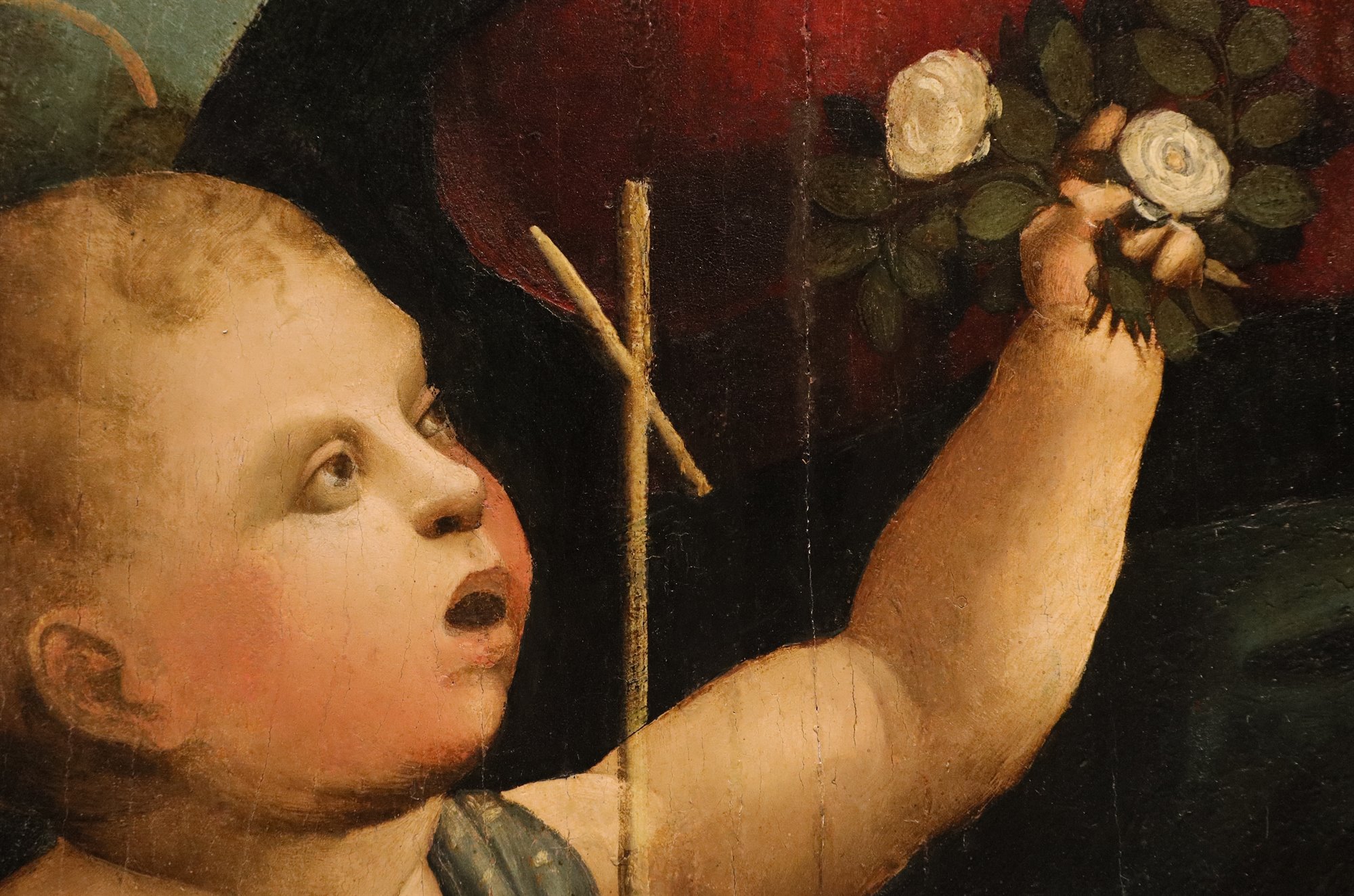  San Giovanni Battista bambino